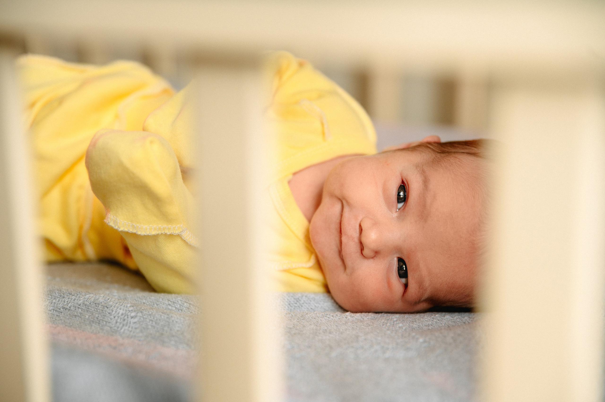 КАТЯ, КОЛЯ И ЗЛАТА. Шашкова Вероника / Свадебный и семейный фотограф Москва и Ярославль