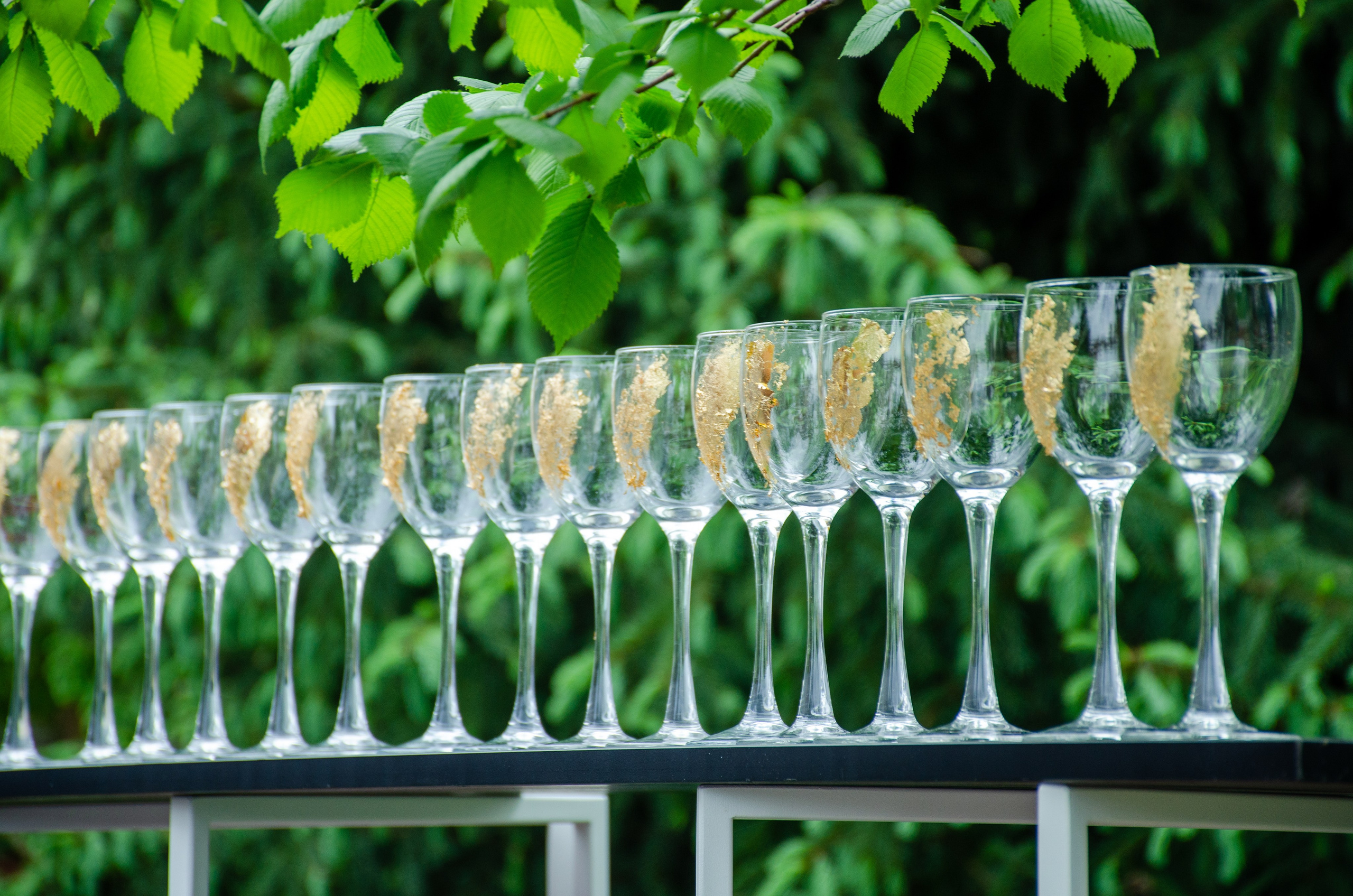 Сагиттариус. Фотограф Универсал в Новосибирске