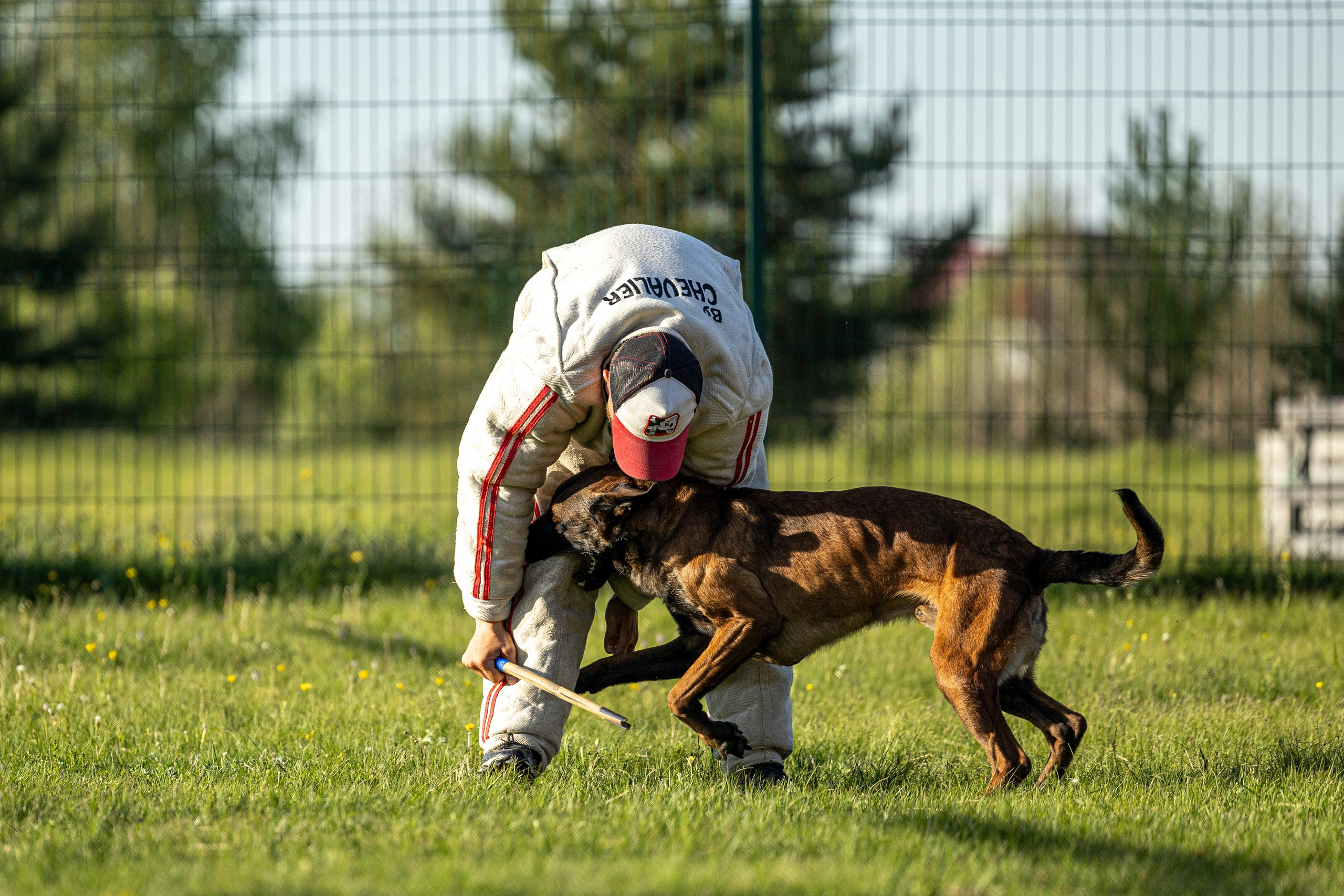 Испытания по мондьорингу в Нижнем Новгороде. Фотограф-анималист Анна Маринич