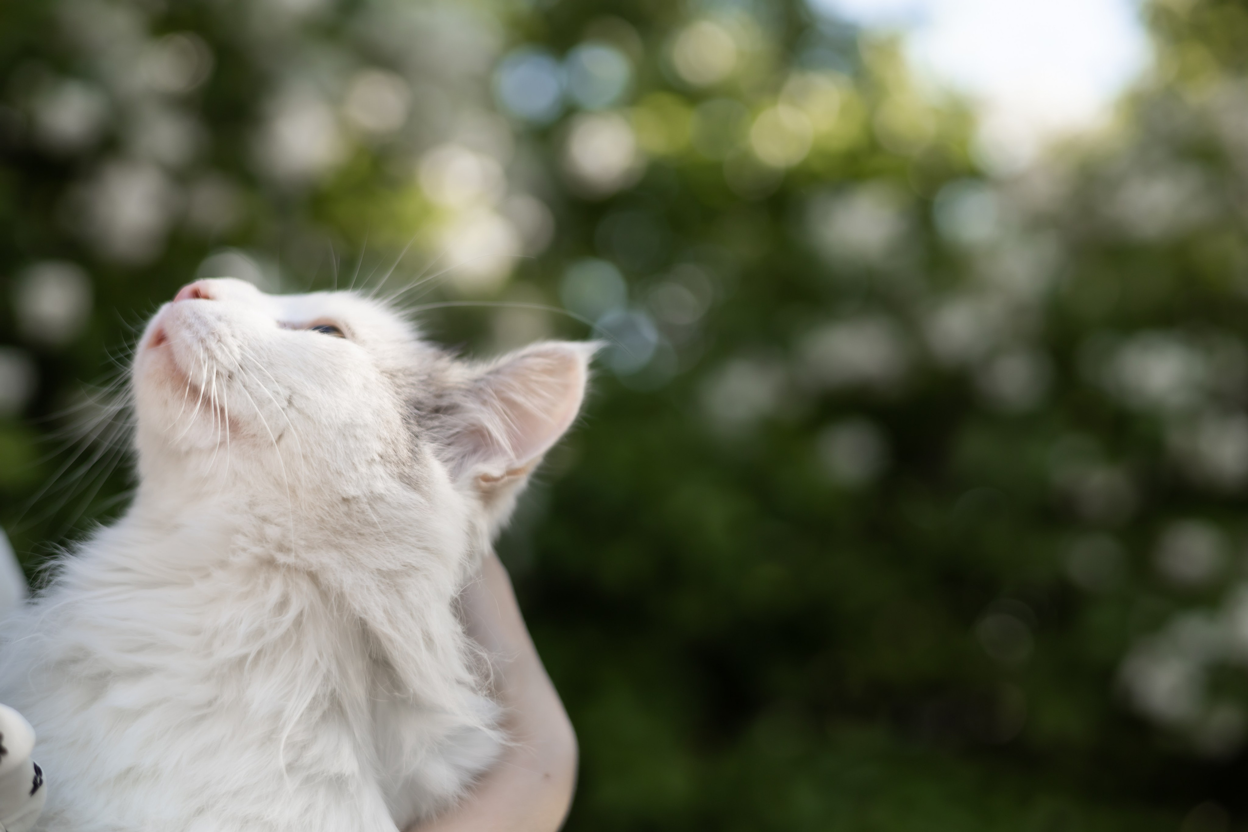 DINARA. Фотограф Элла Ефимова