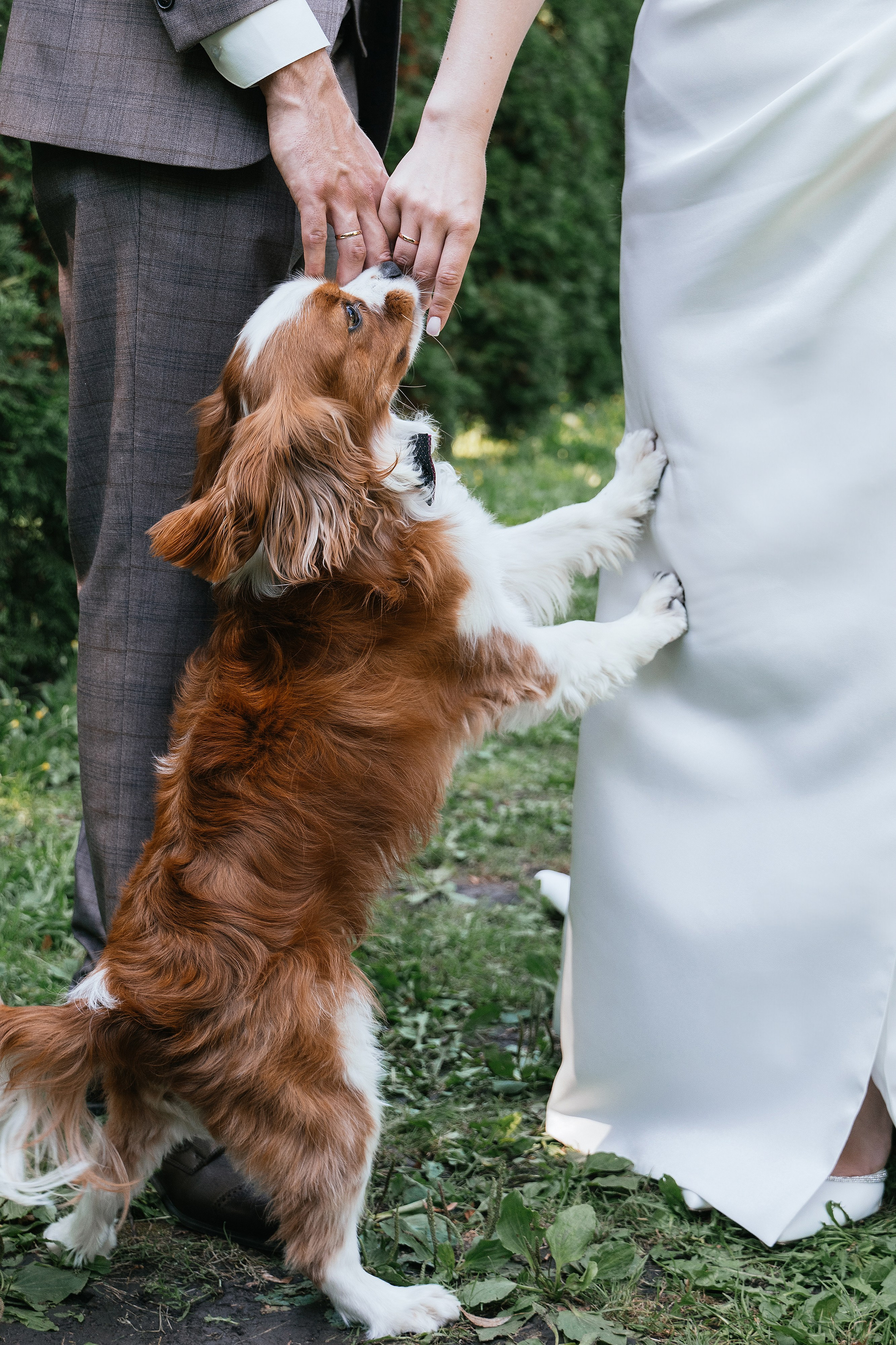 Wedding day #56. Свадебный, семейный фотограф в Рязани Лена Брант