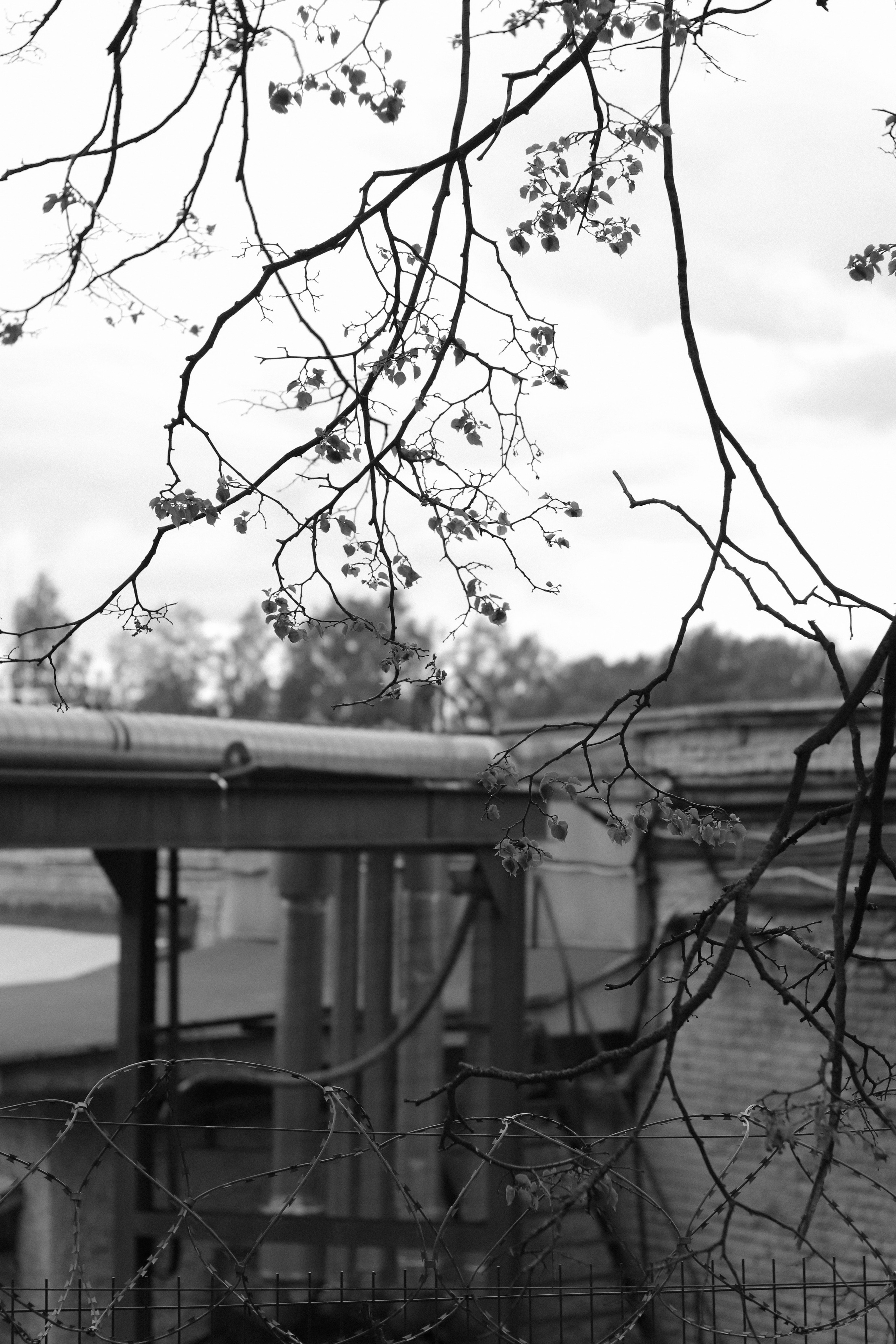 Contour. Фотограф и исследователь фотографии из Санкт-Петербурга Елизавета Веприцкая