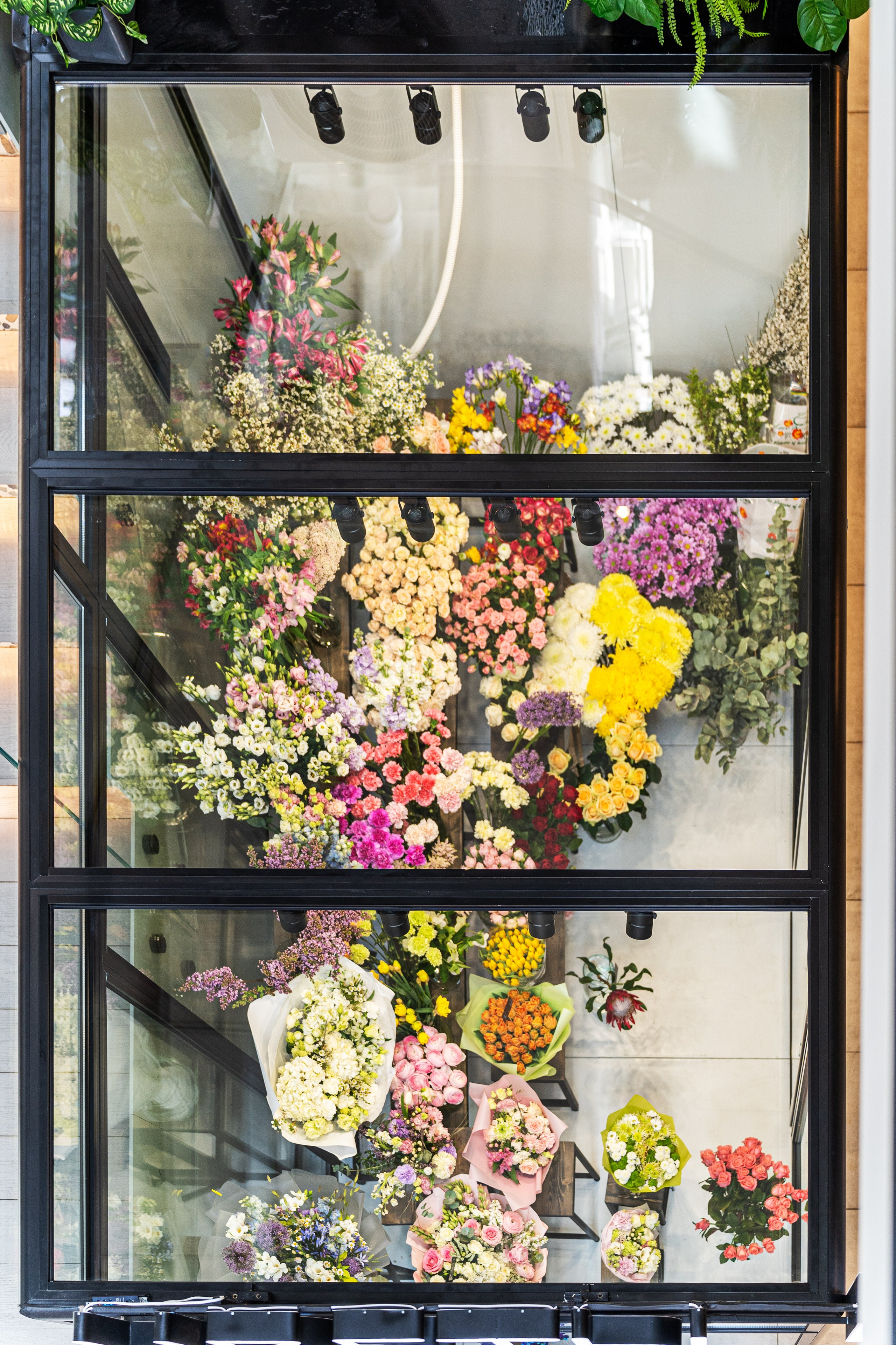 Регион холод. Елена Пашкевич, фотограф, Москва