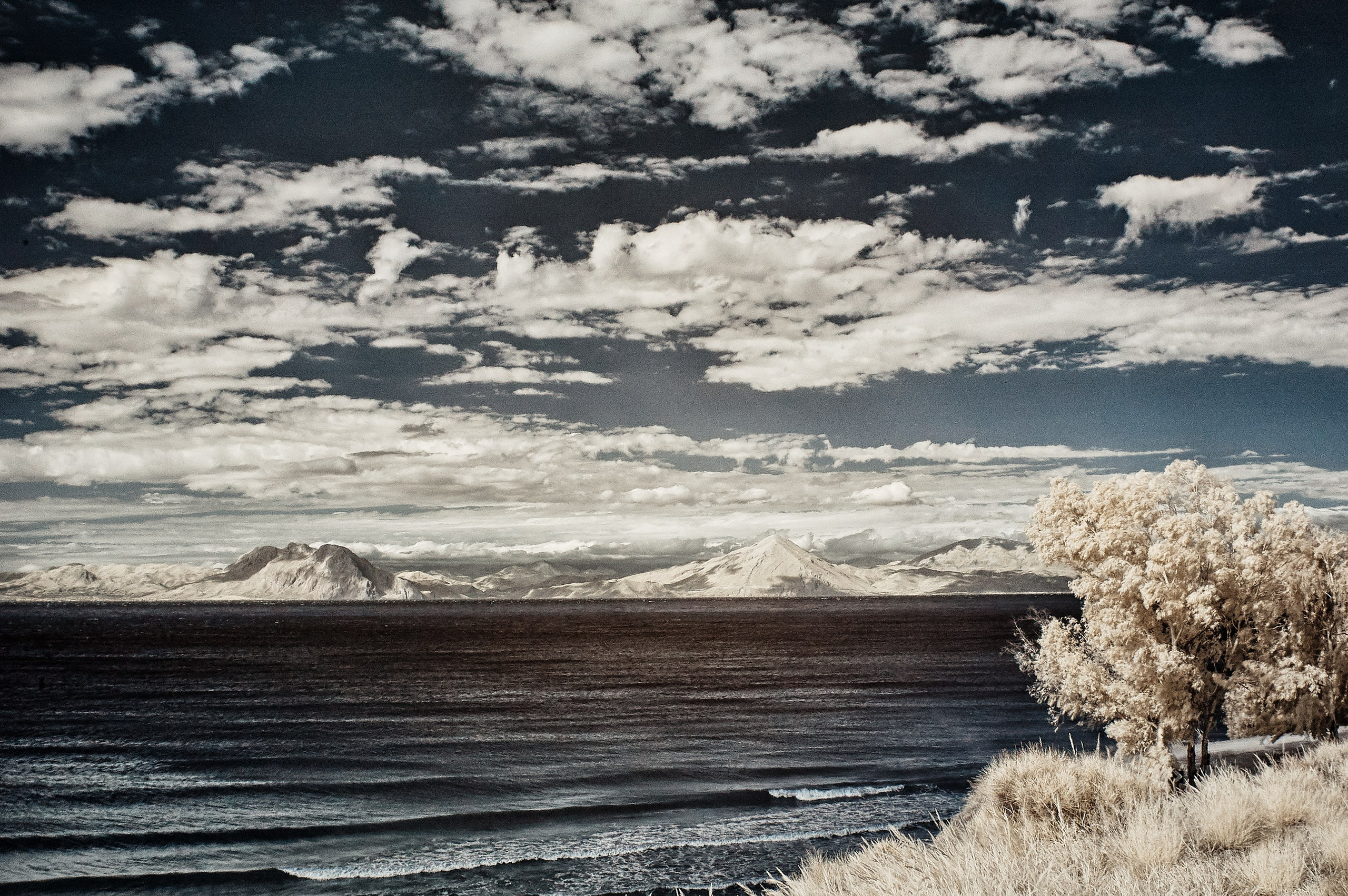 Infrared Photography. Solofilms