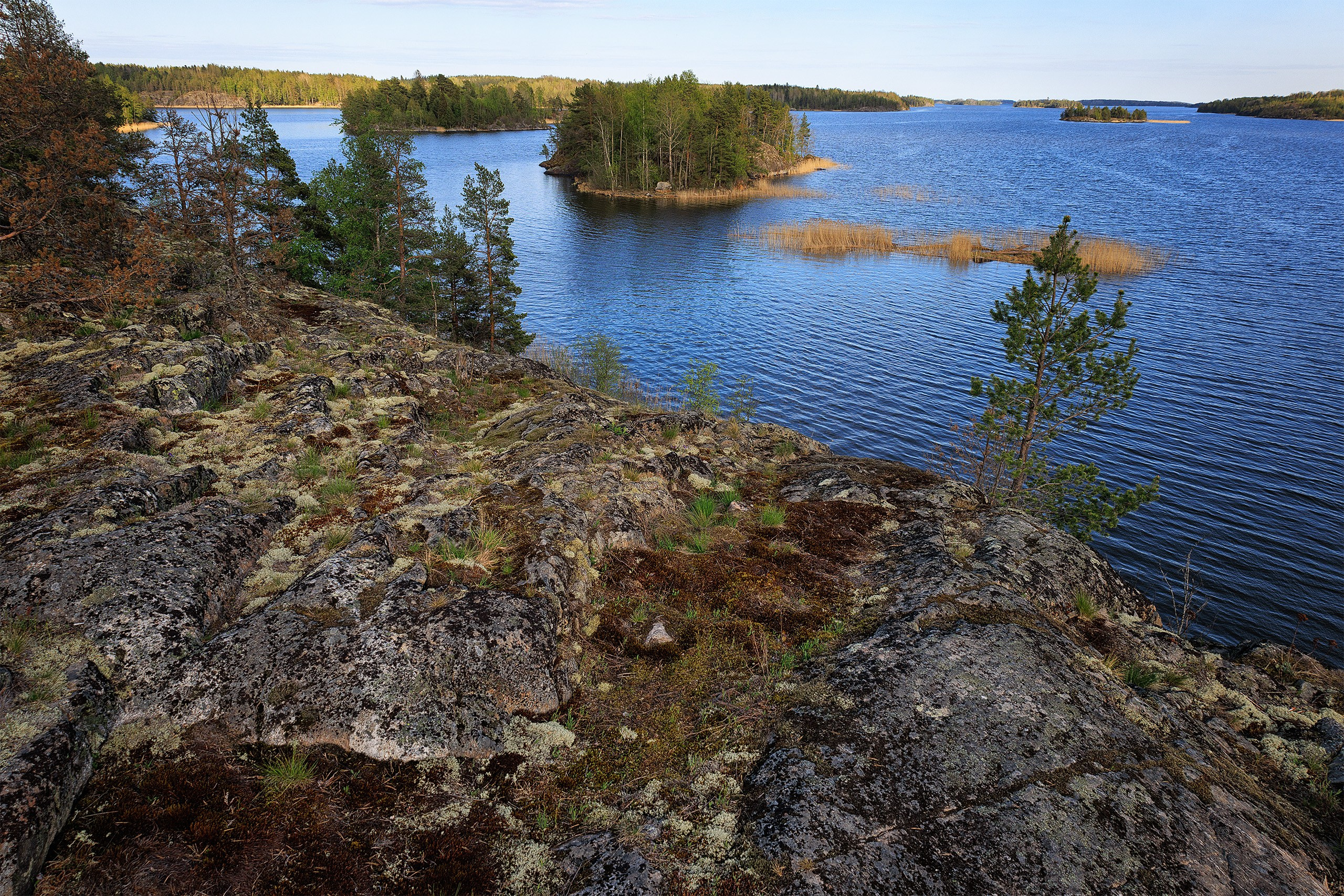 Пейзажи. Сайт фотографа Елены Михайловой. Фотосессии на пленэре в Сестрорецке