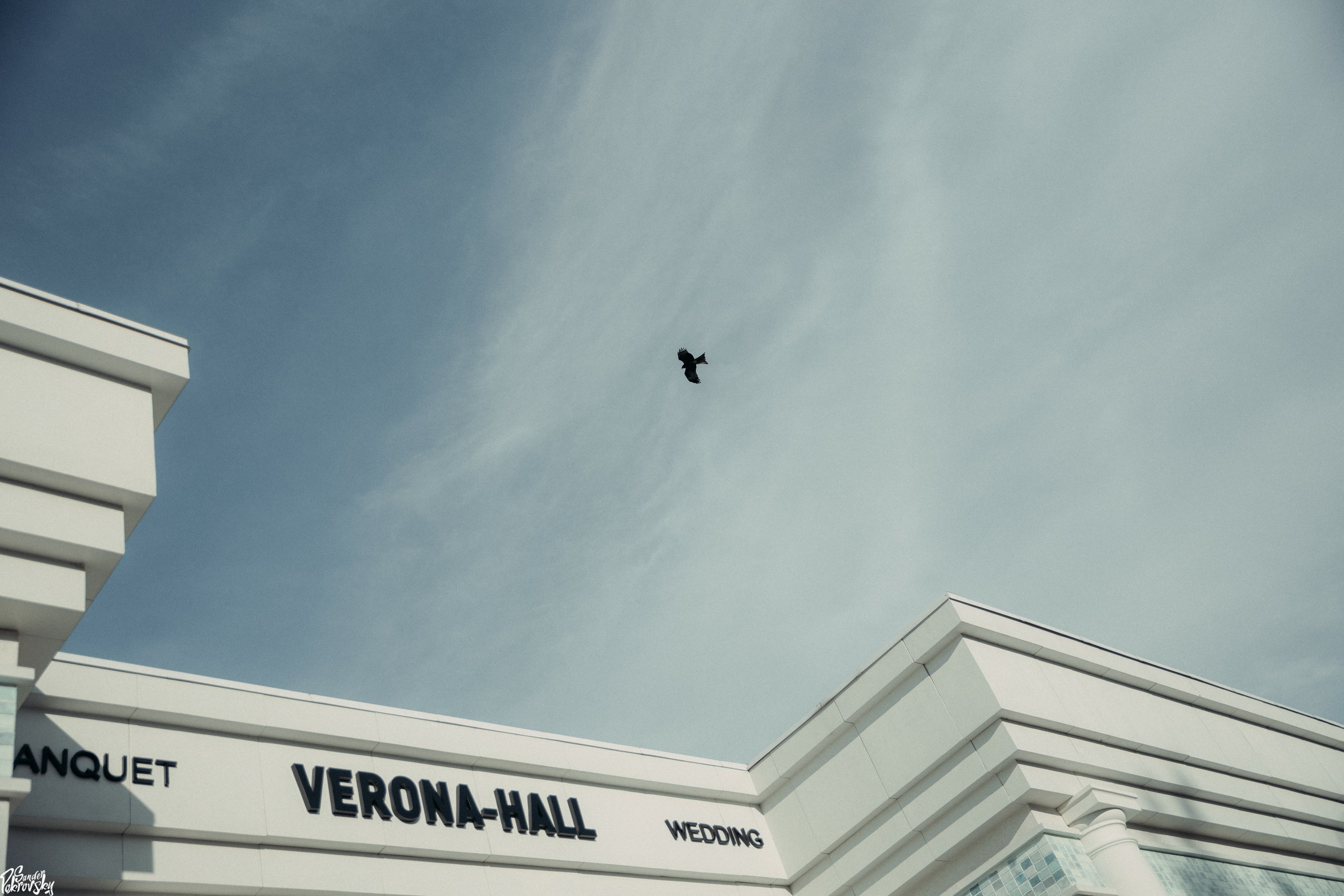 Дмитрий & Мария 17.06.2023. Свадебный и репортажный фотограф в Чебоксарах Покровский Александр