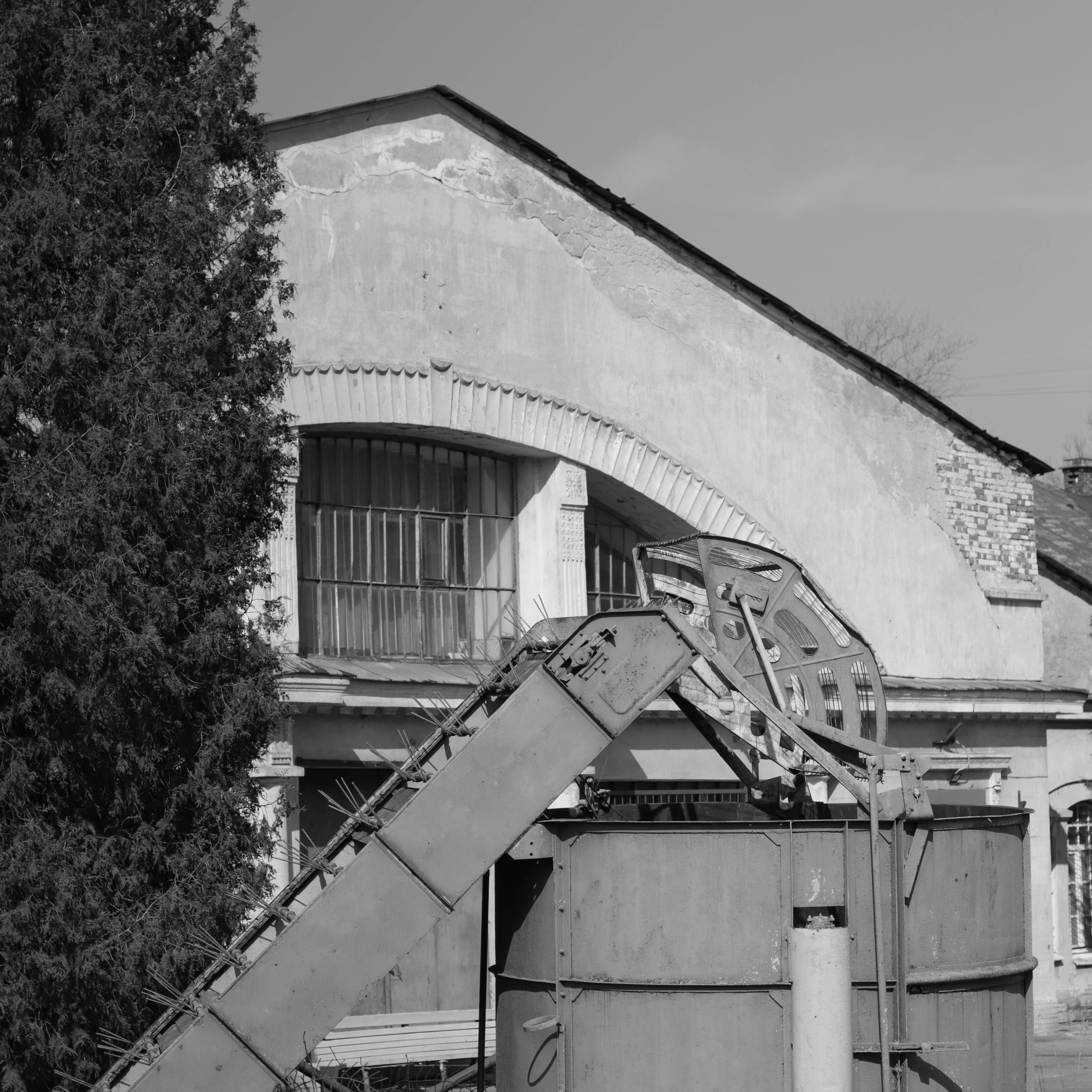 Tsarskoe Selo. Фотограф и исследователь фотографии из Санкт-Петербурга Елизавета Веприцкая