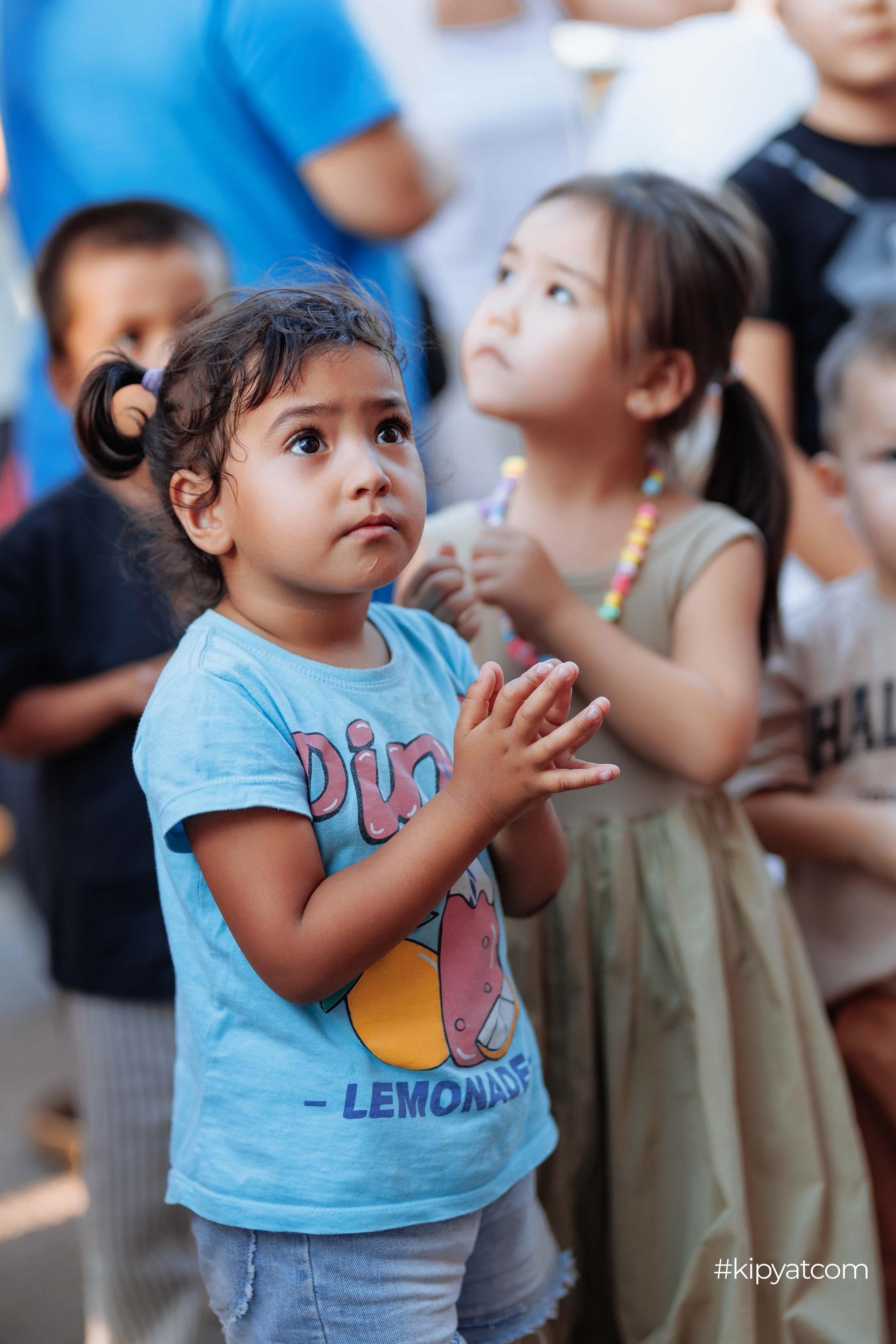 Safia|Кондитерский дом