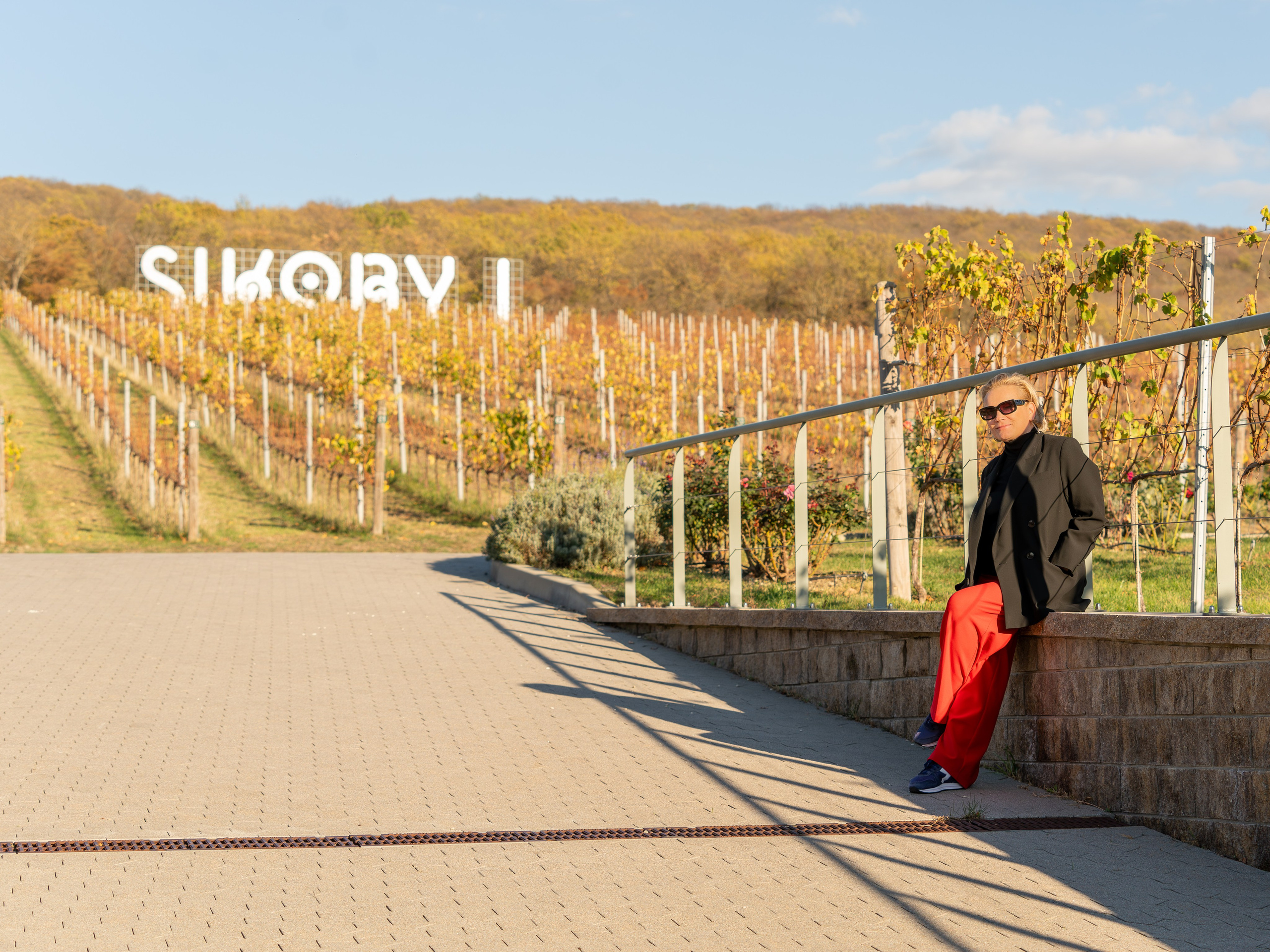 Литературная мастерская с Ольгой Шутовой в «Винотеррии». Репортажный фотограф в Красной Поляне и Сочи Павлюченко Екатерина