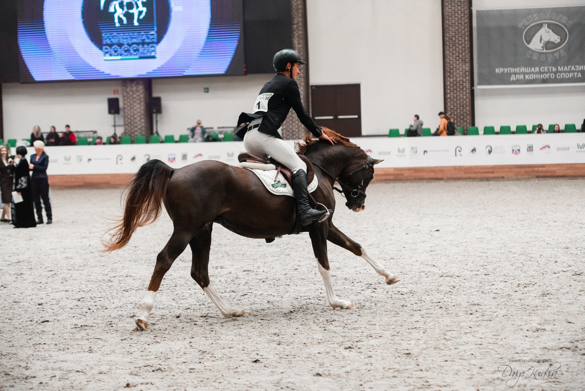 8-я международная выставка Конная Россия. Конный фотограф Куракина Дарья • Фотосессии с лошадьми