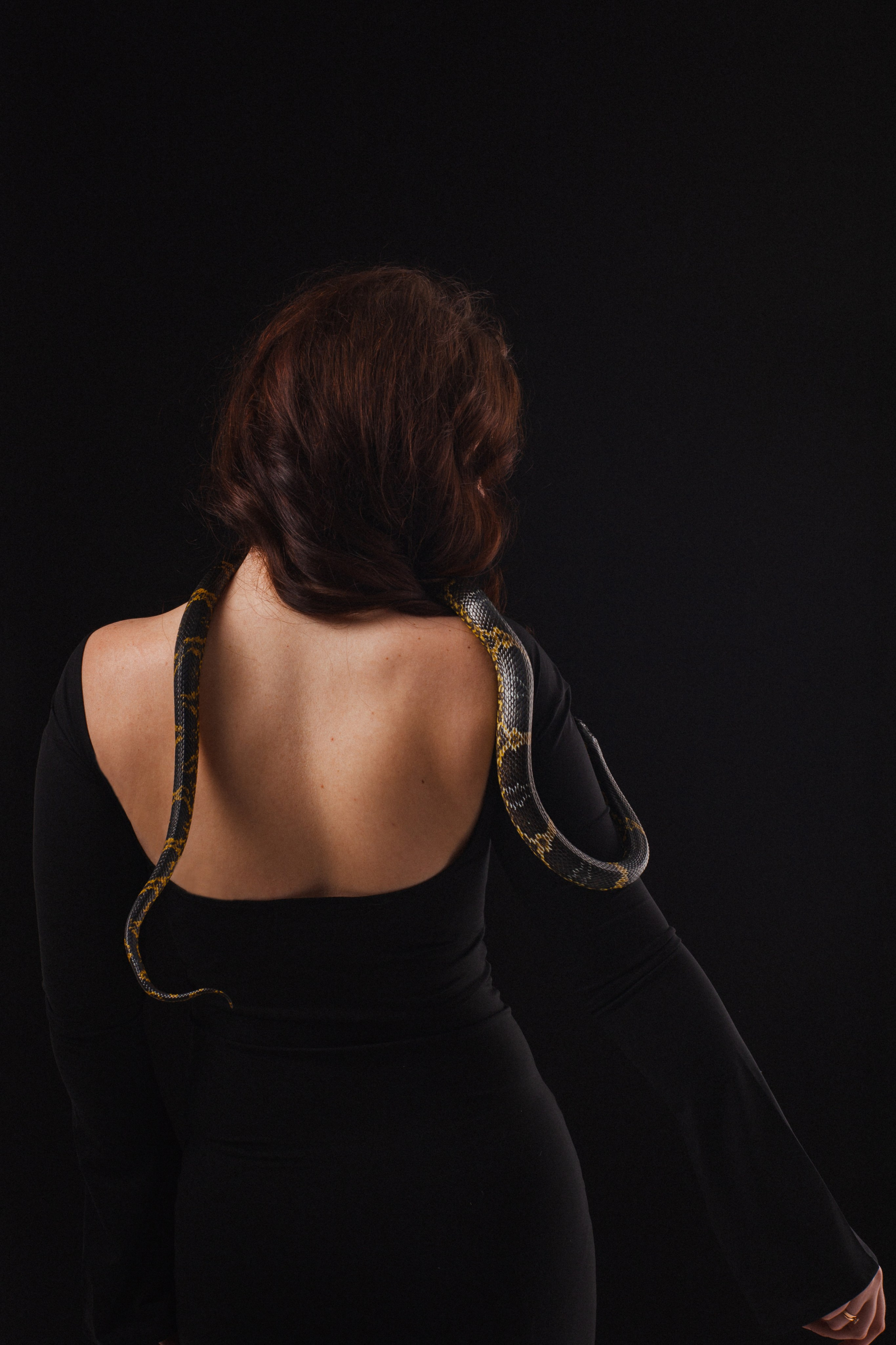 Змеи. Фотограф Алёна Сергеевна Aloha_chë