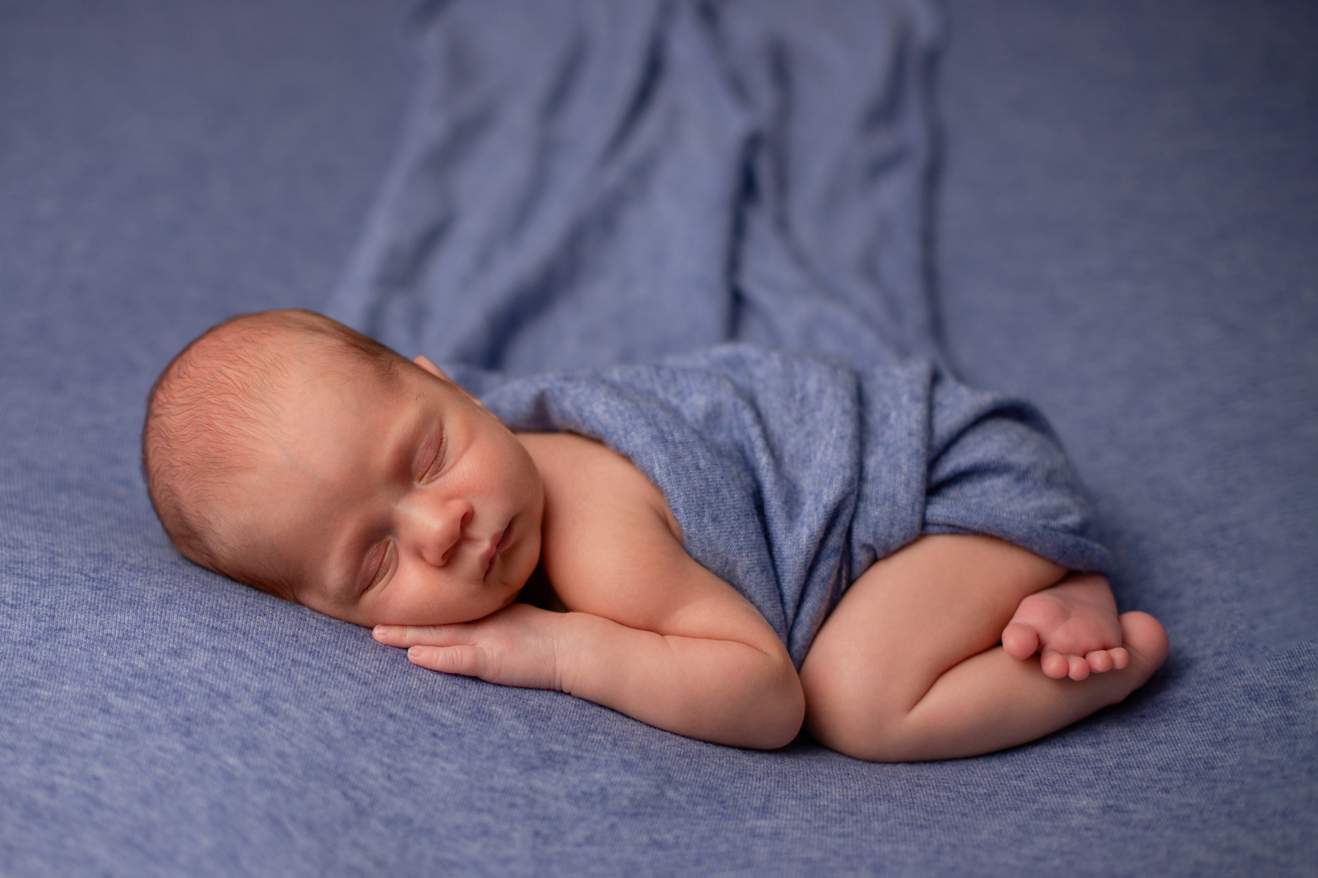 Фотограф в Северском районе| г. Краснодар Алена Заливчая