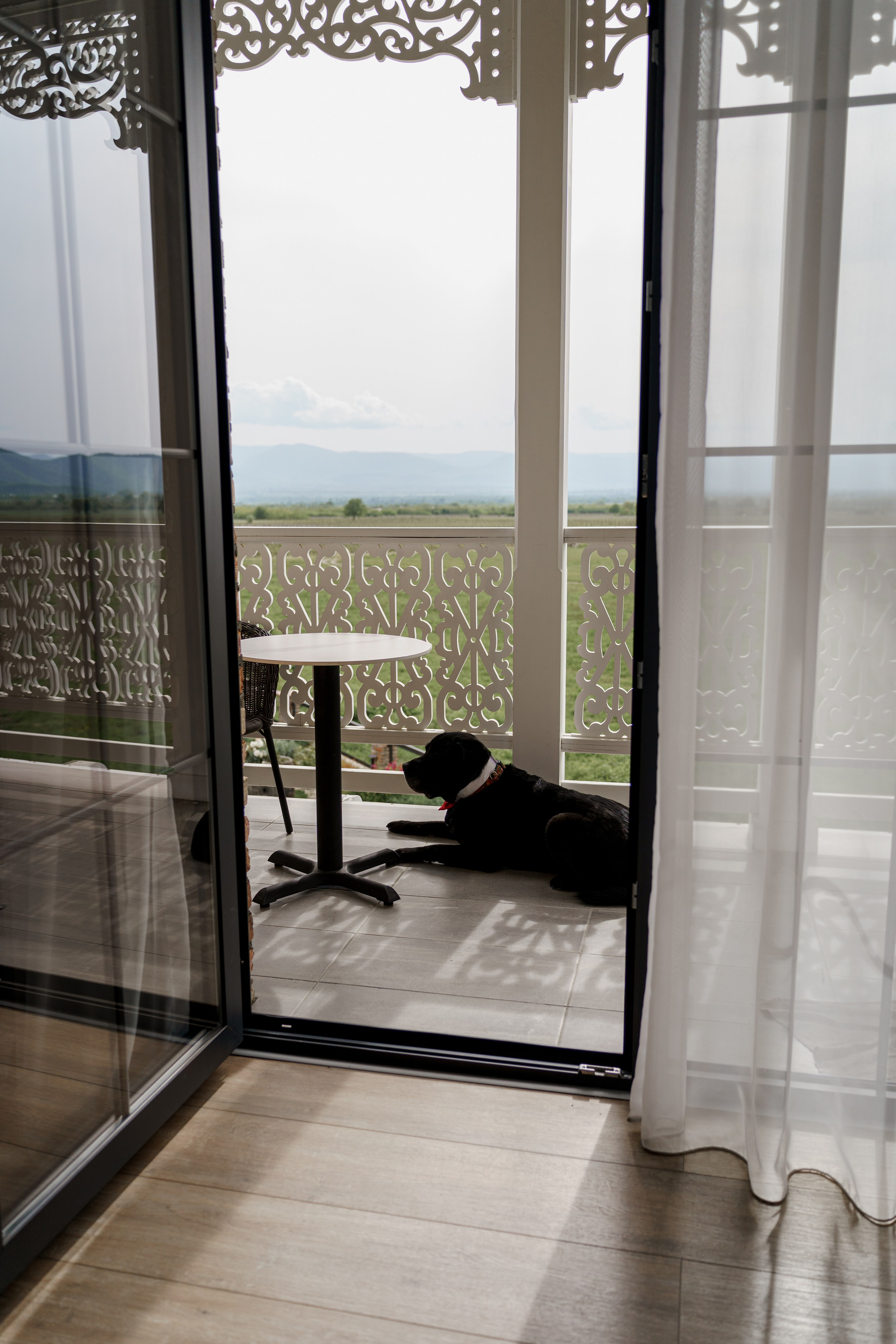 Кахетия: Семён и Лейла. Свадебный и индивидуальный фотограф Татьяна Гуляева