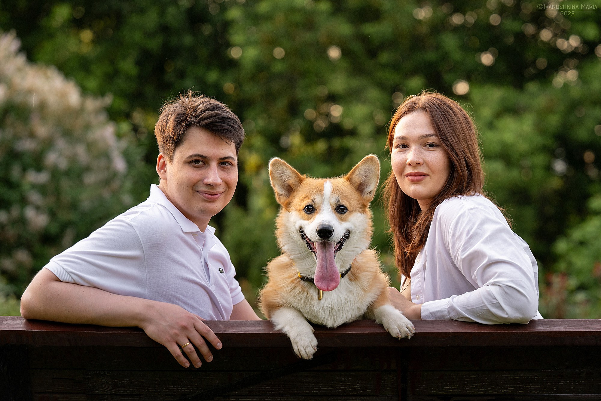 Фотосессия с собакой. Фотограф собак в Москве и Московской области Иванушкина Мария