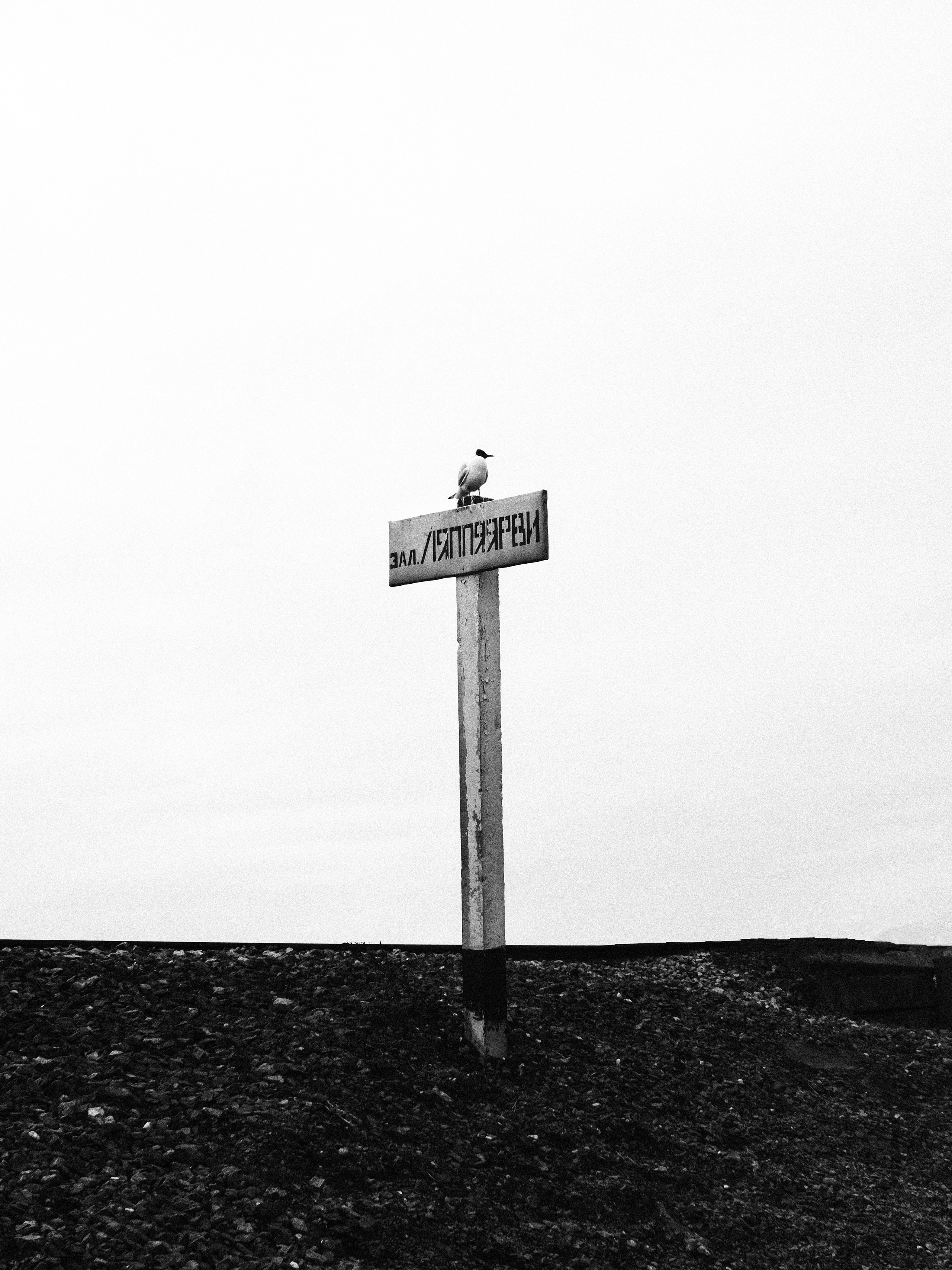 Стрит. Kuzmin photographer