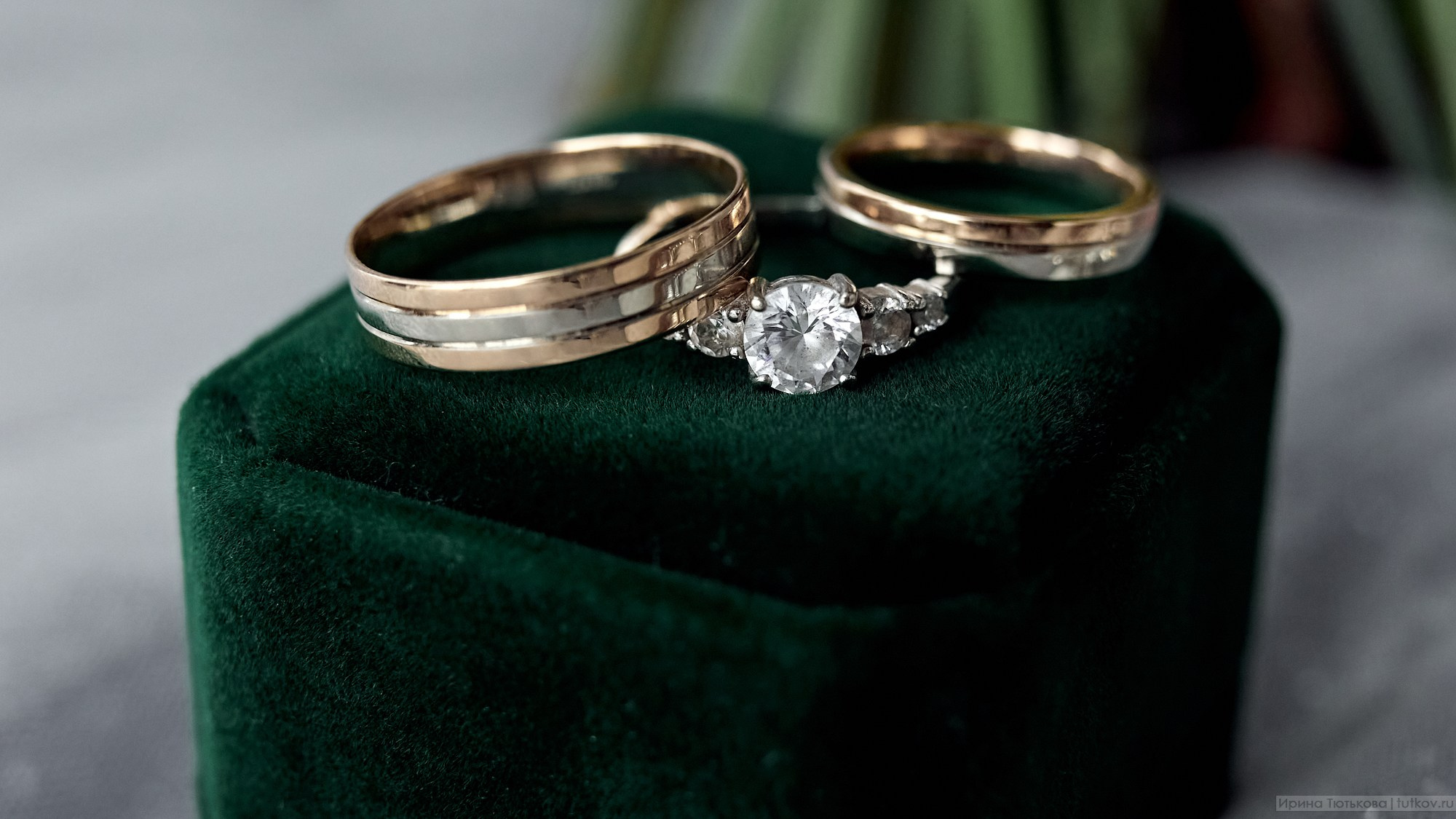 Елена и Алексей. Свадебная фотосъёмка в Брянске | Влад и Ирина Тютьковы