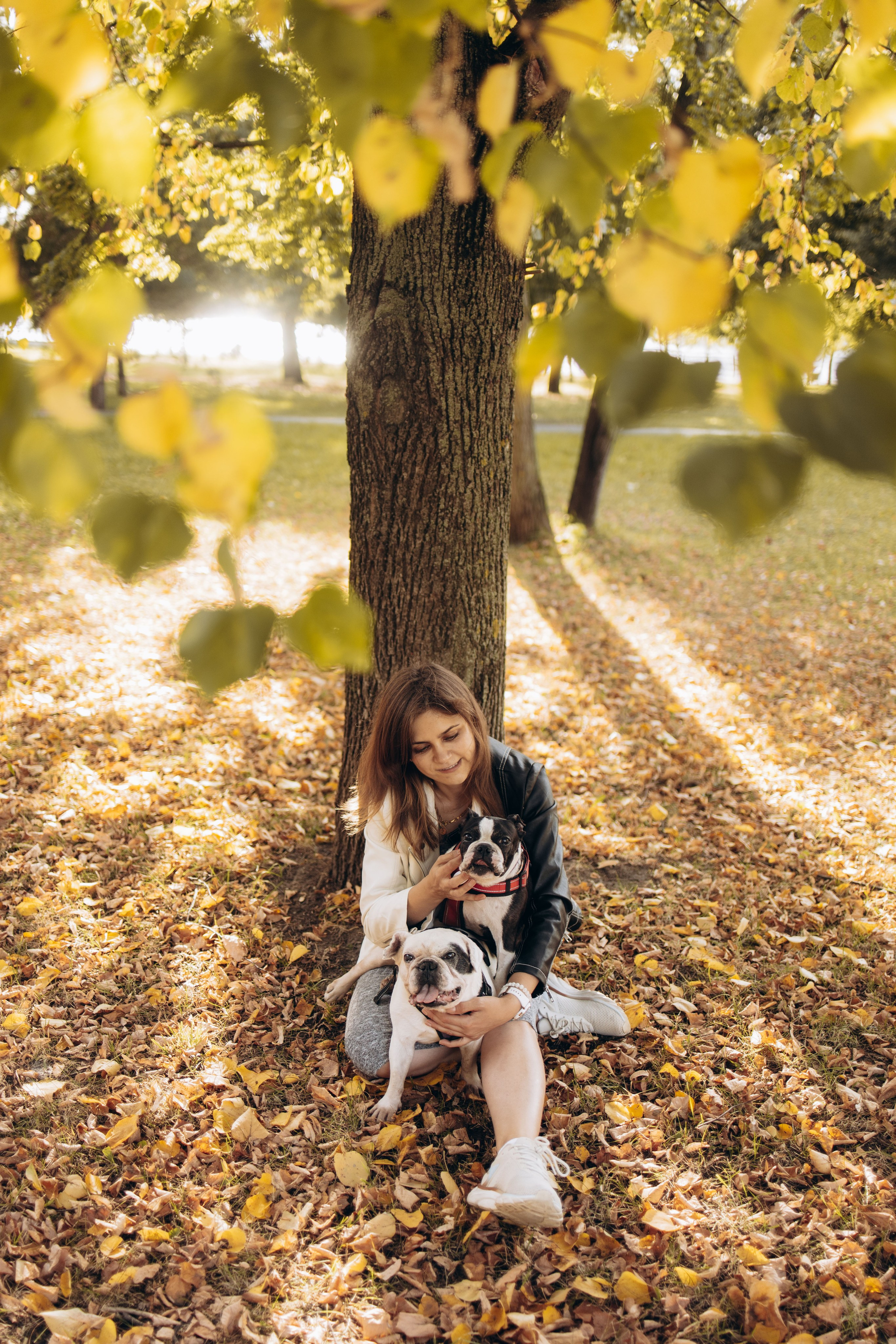 Оля и бульдоги