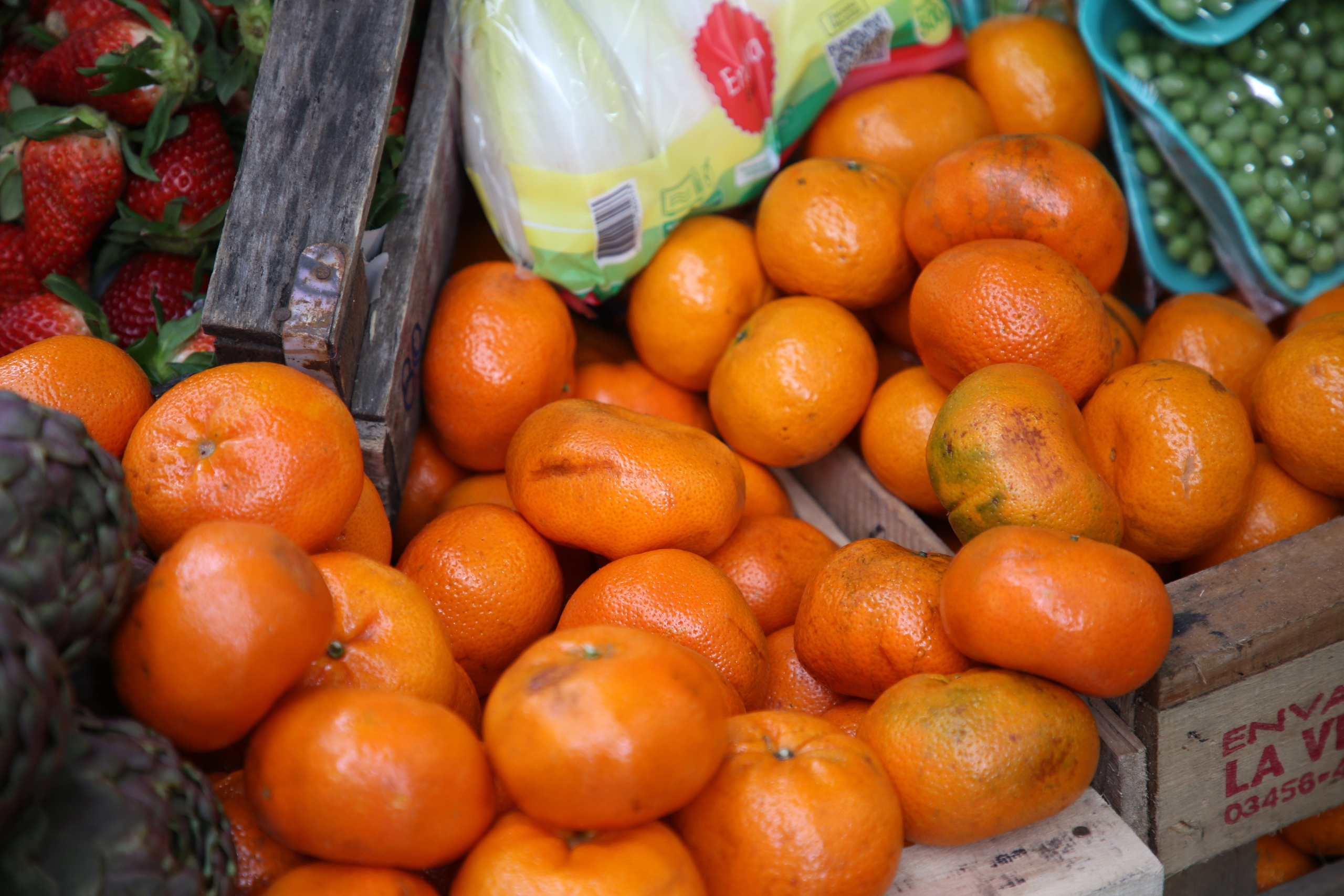 Buenos Aires, Argentina. Andrey Filippov Photographer