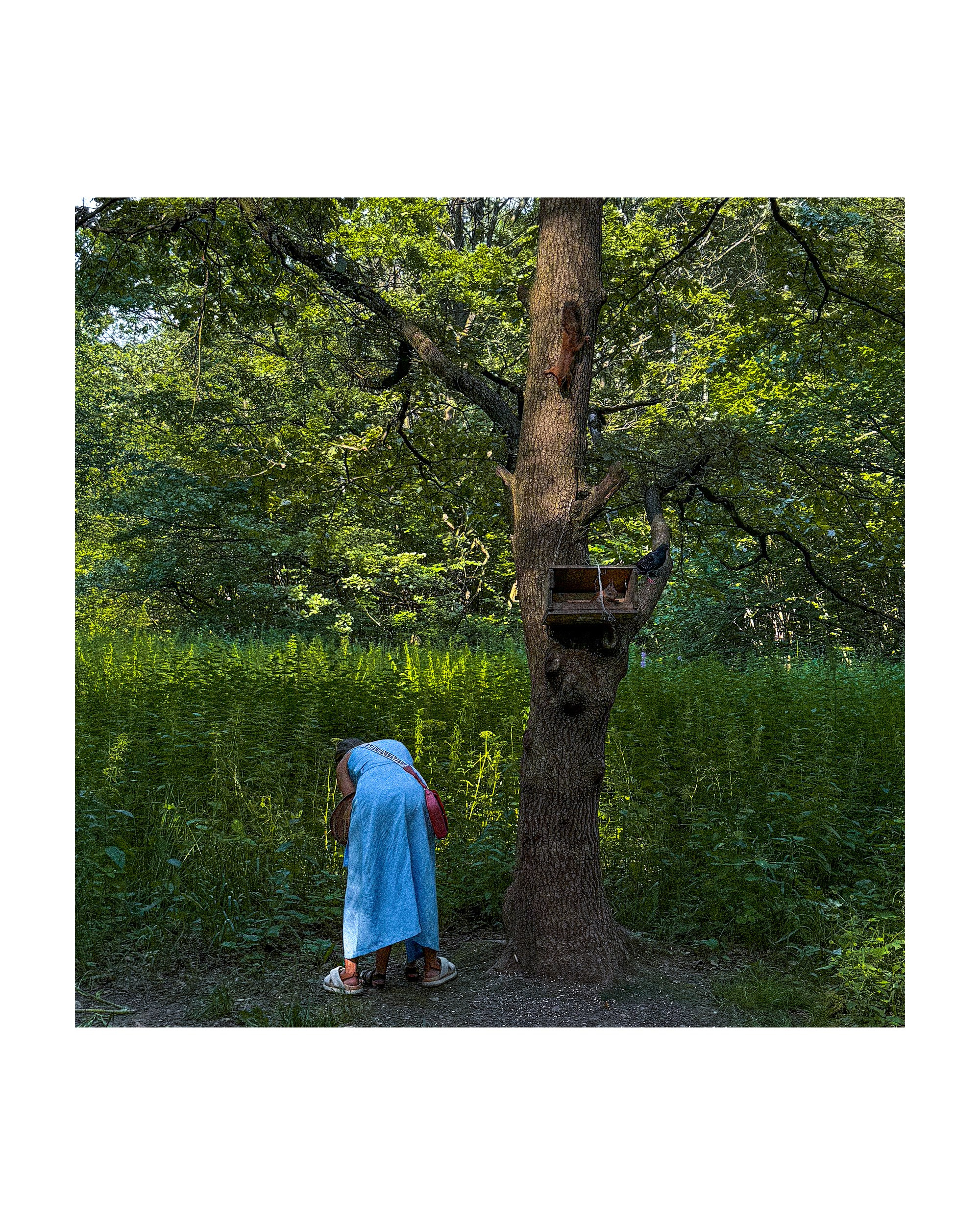 Mobile street art. Портретный фотограф в Москве