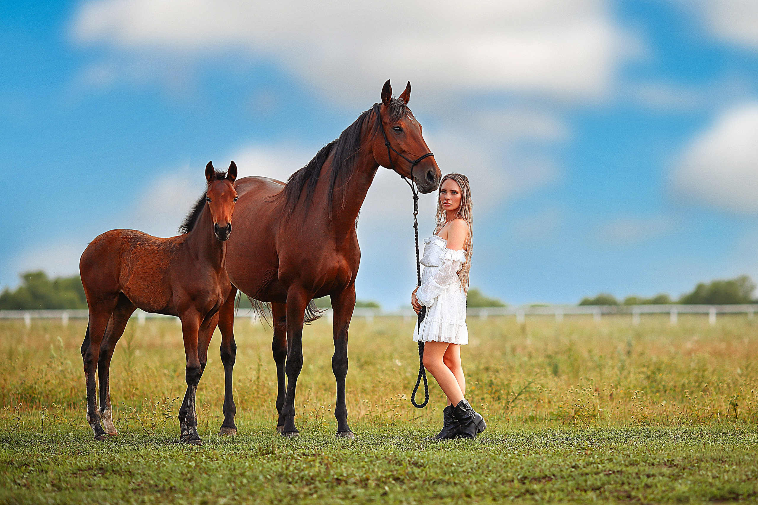 Сьемки с лошадьми. Конный фотограф в Санкт-Петербурге-Мария Балабанова