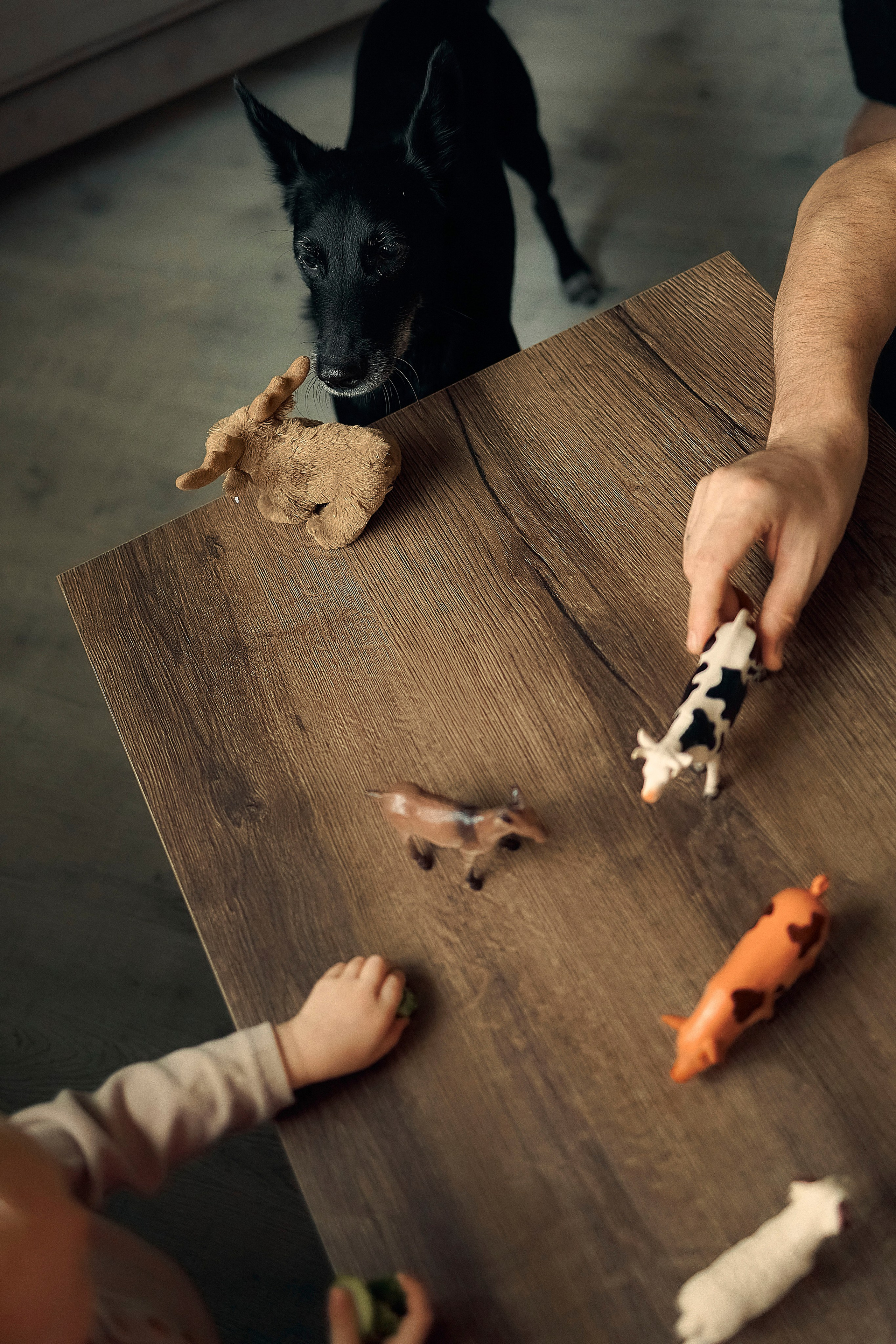 Портфолио. Edomaphoto.ru