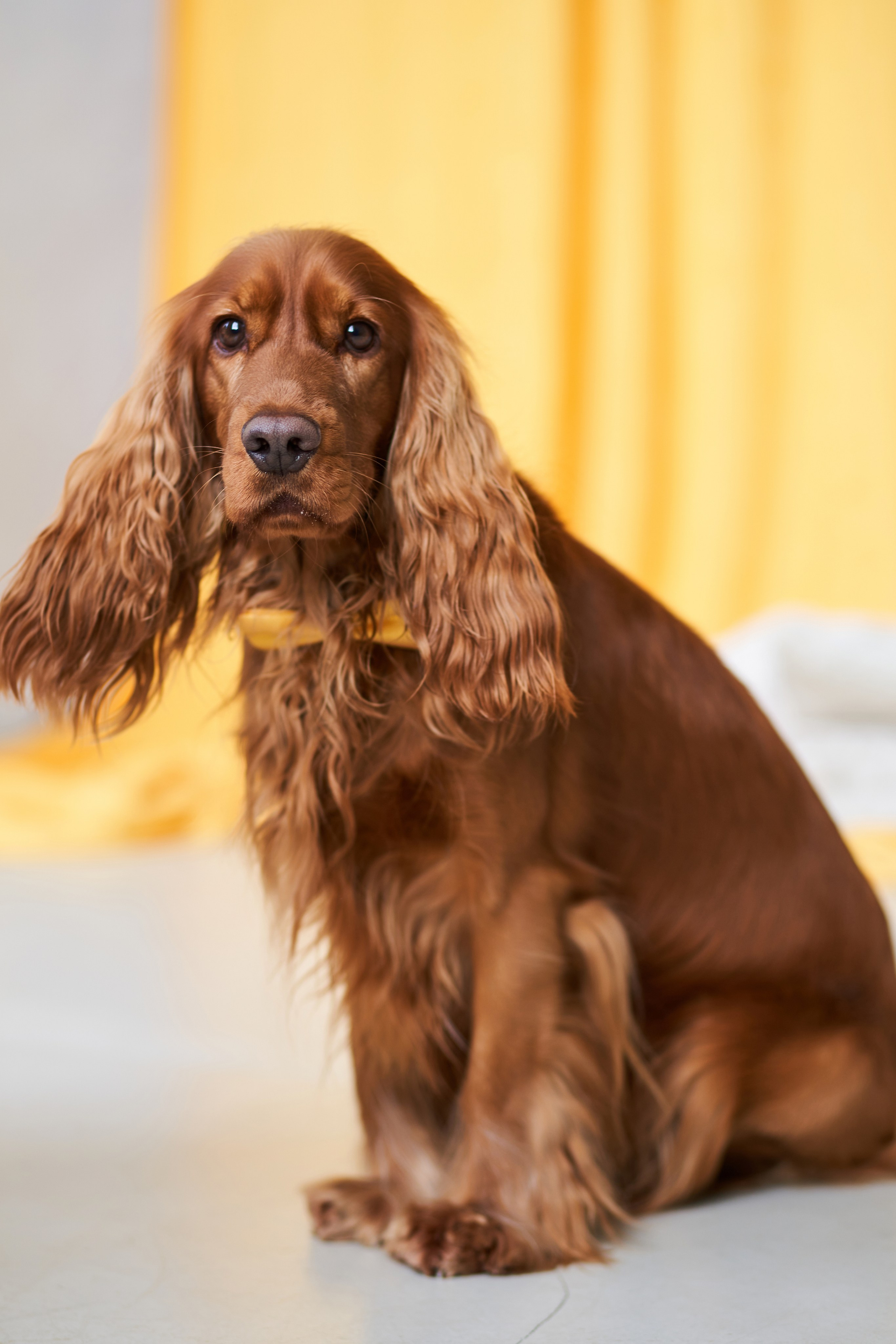 Галя и Гриша. Фотограф Александра