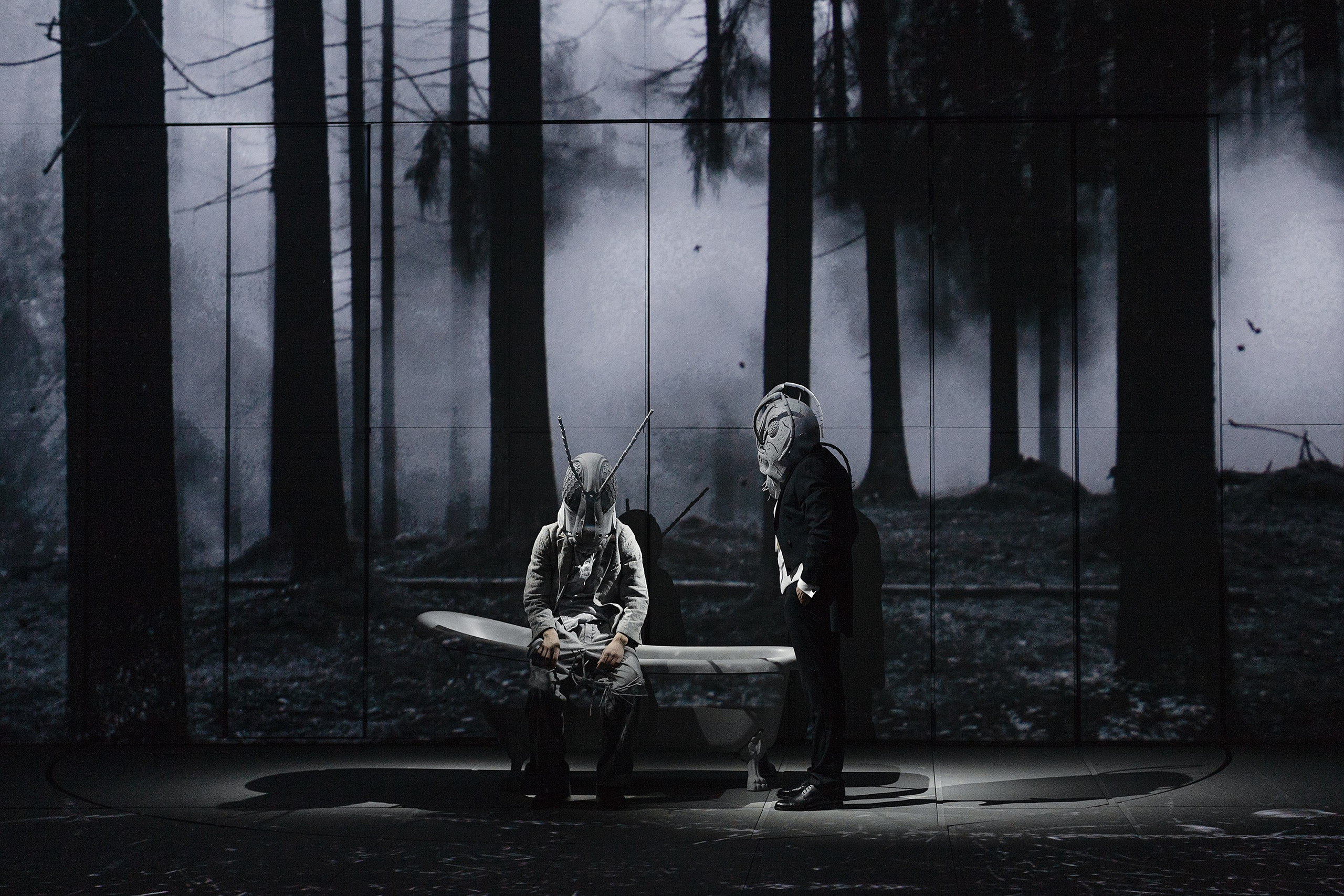 «СВЕРЧОК». Фотограф Александра Дмитриевская