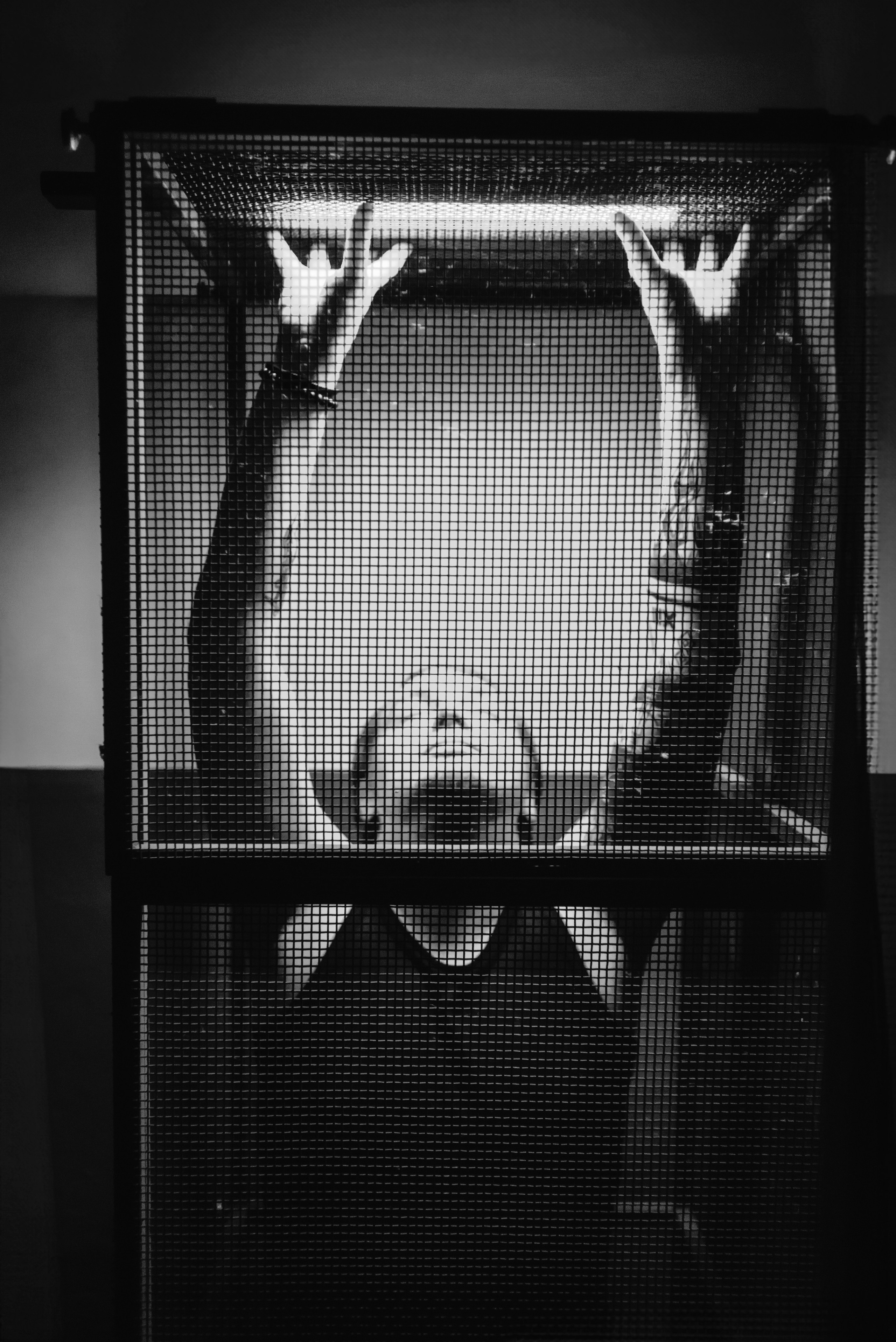 Марк. Фотограф Дарья Мустафина, Тюмень