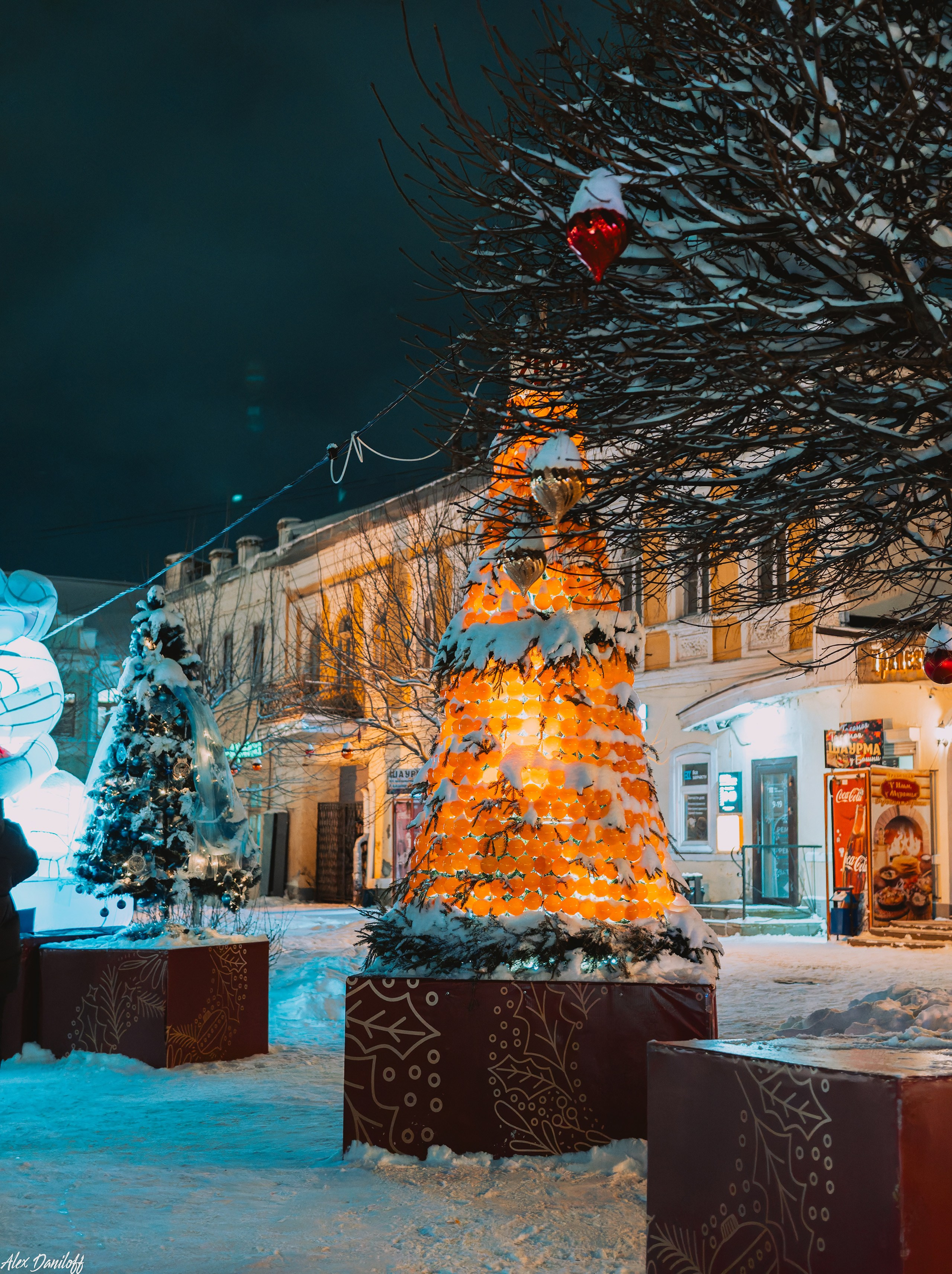 Елки 2025. Муром-Инфо. Новости культуры, образования, спорта в городе Муром