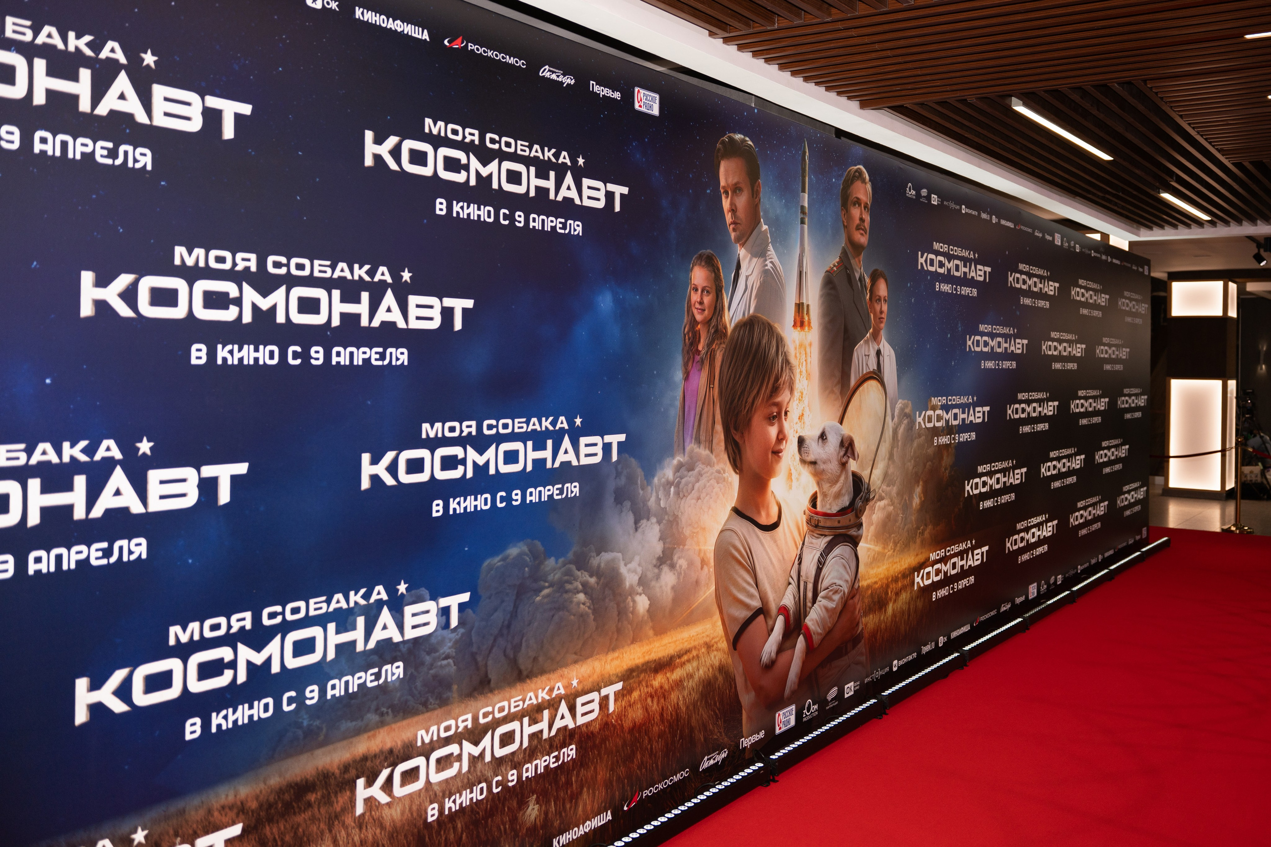 Премьера: Моя собака космонавт. Илья Варин — Фотограф Москва, Тверь