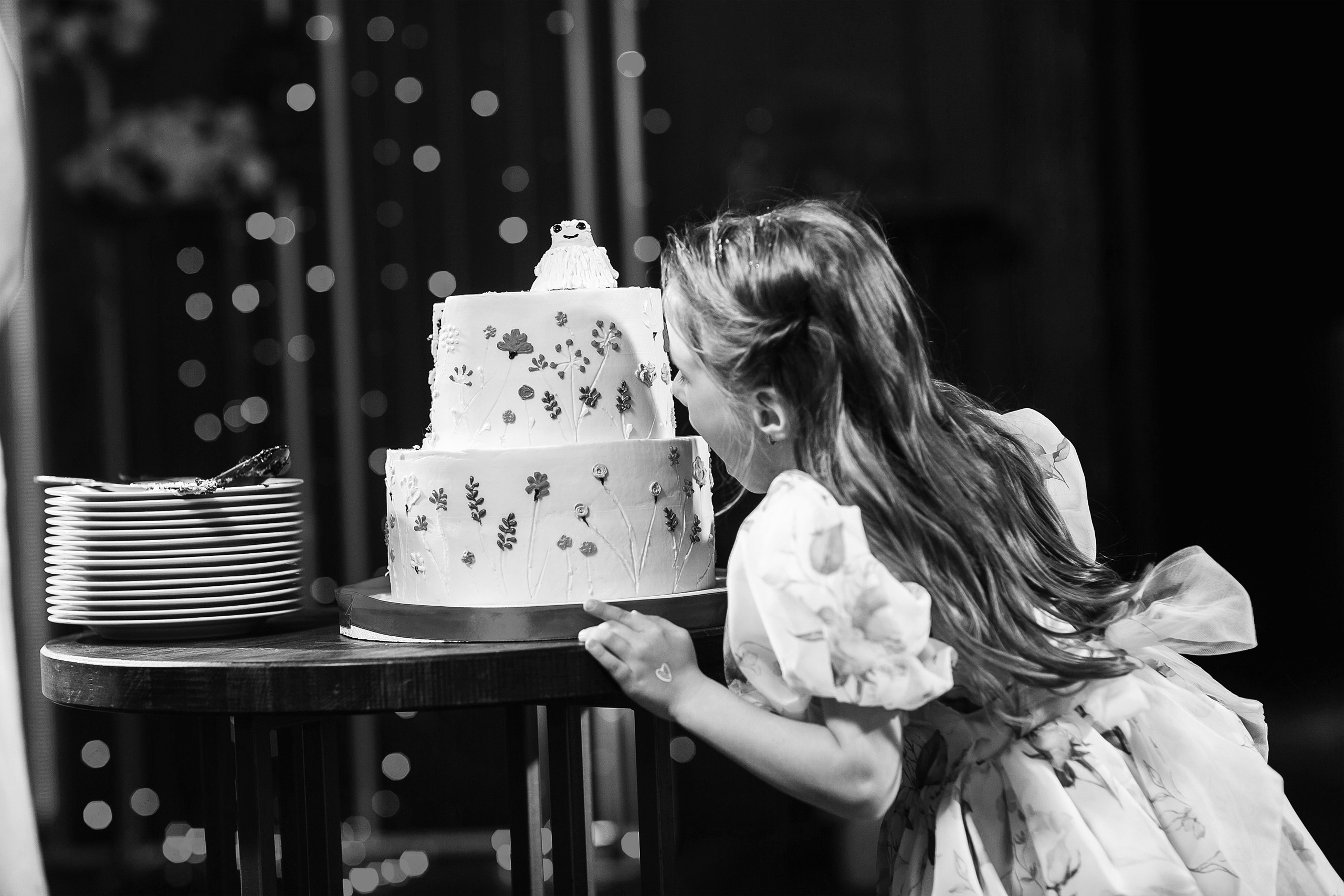 Степан и Катя. Свадебный фотограф Сергей Сергеев — Нижний Новгород