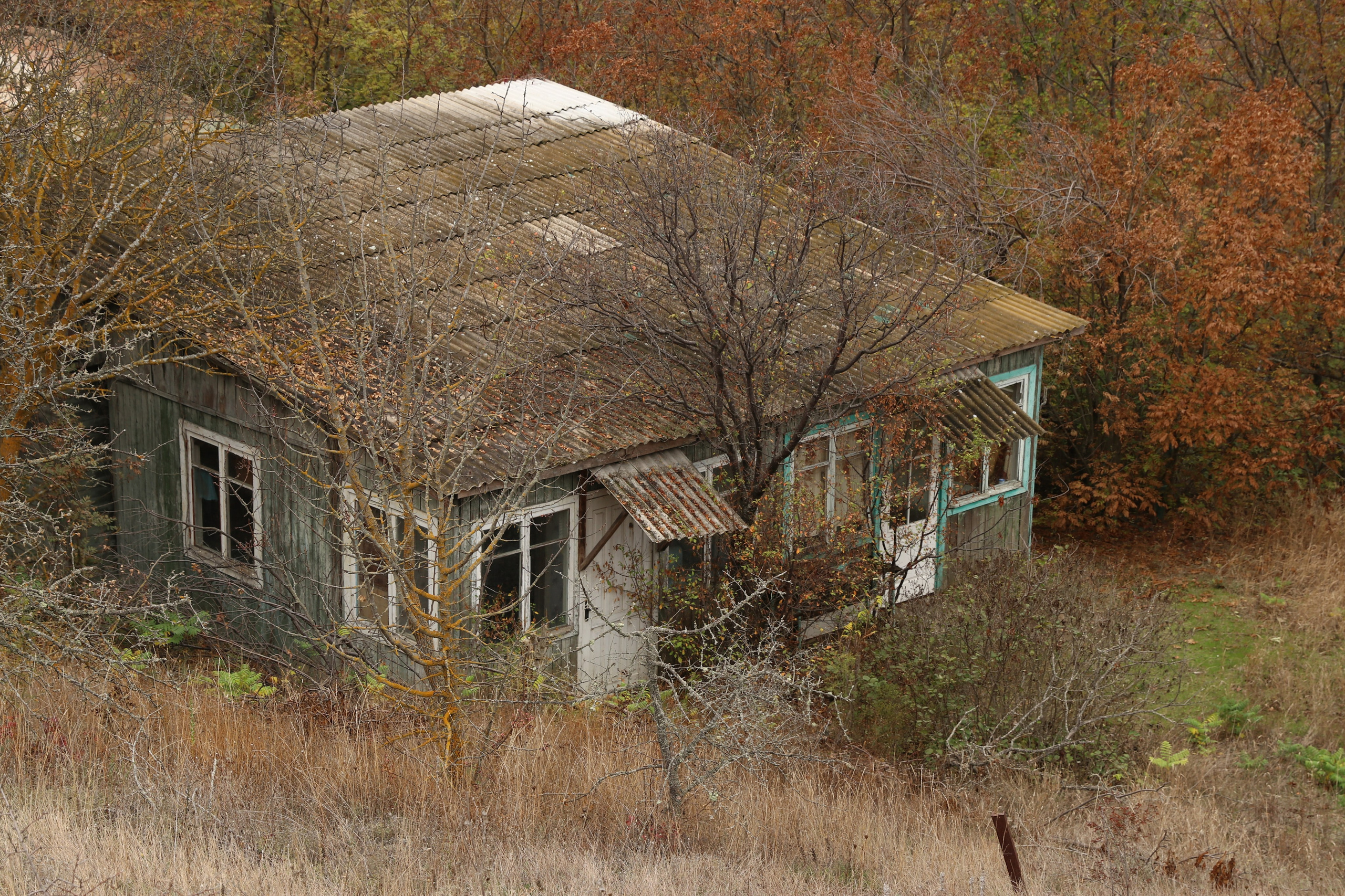 Крым. ЮБК (Гурзуф, Судак и их окрестности). Ноябрь 2023. Путешественник-фотограф из Санкт-Петербурга Татьяна Свистулина