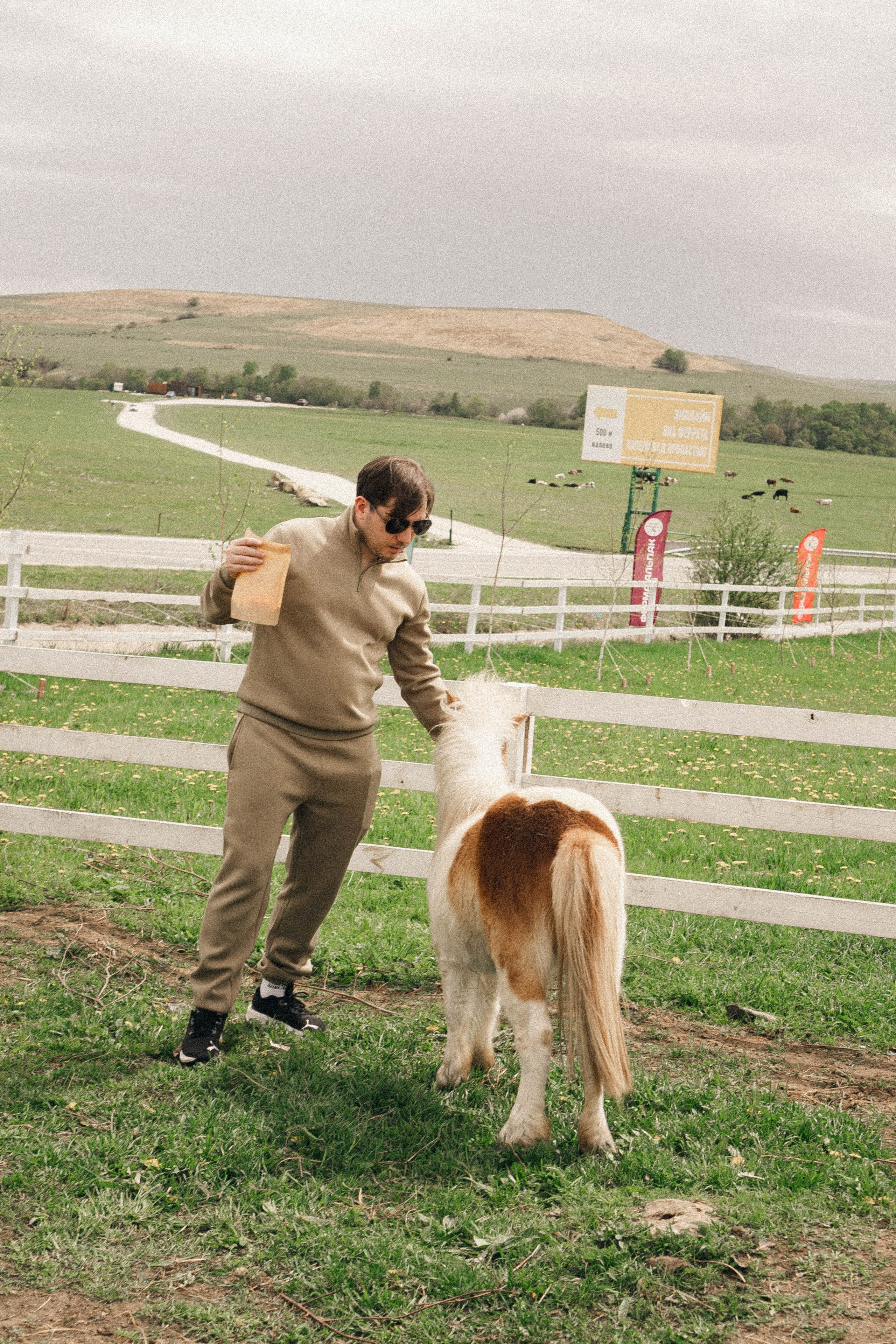Ферма Альпак. Профессиональный фотограф, Санкт-Петербург — Виктория Богомолова
