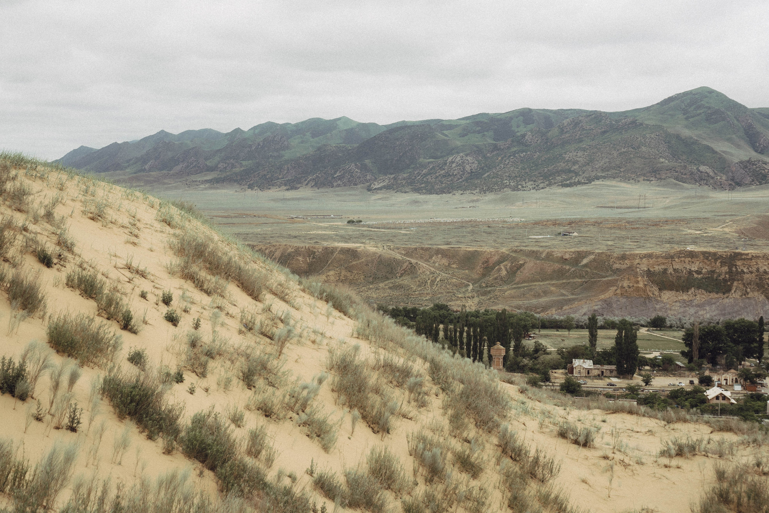 Кавказ. Профессиональный фотограф, Санкт-Петербург — Виктория Богомолова
