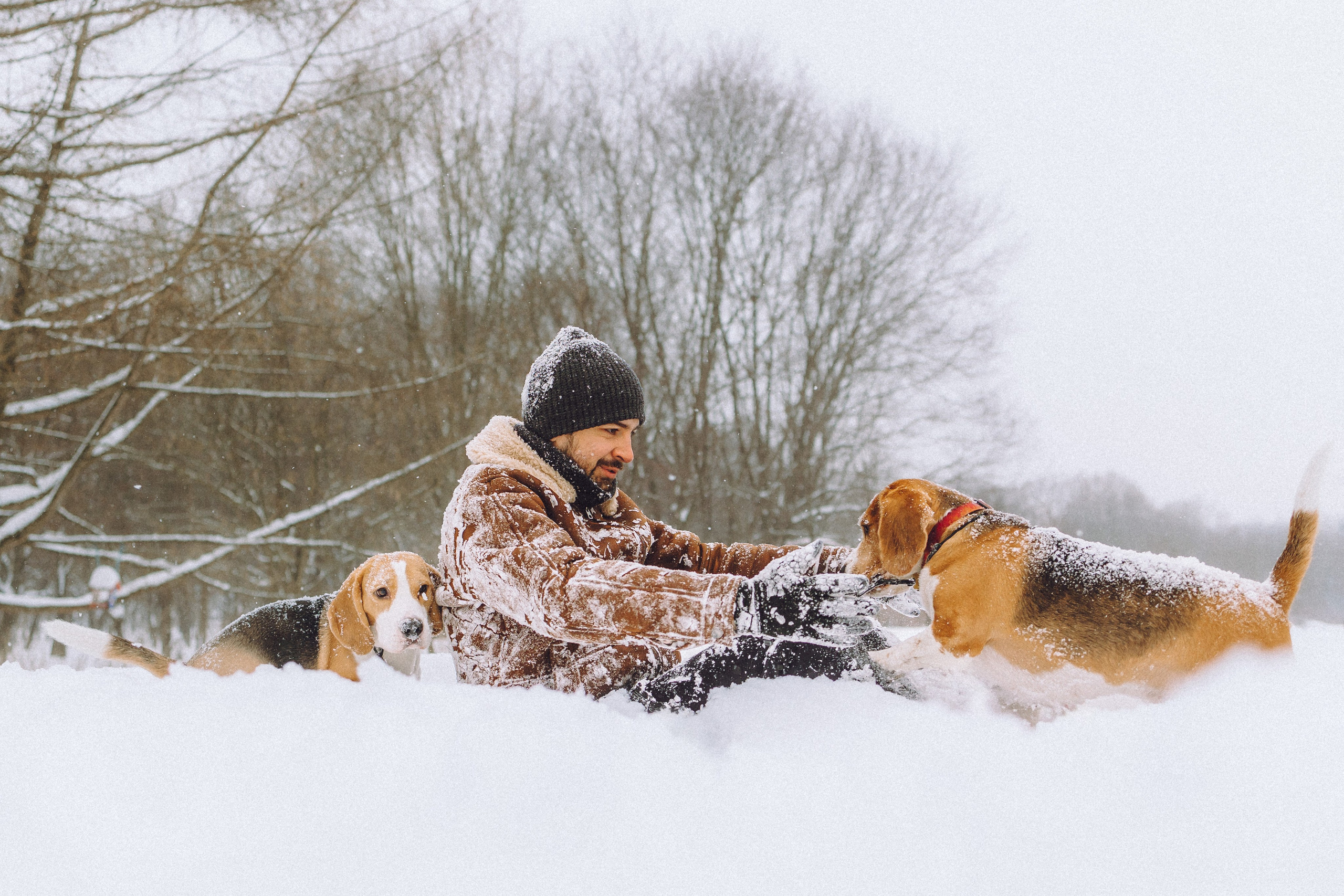 Роман, Портер и Коррес