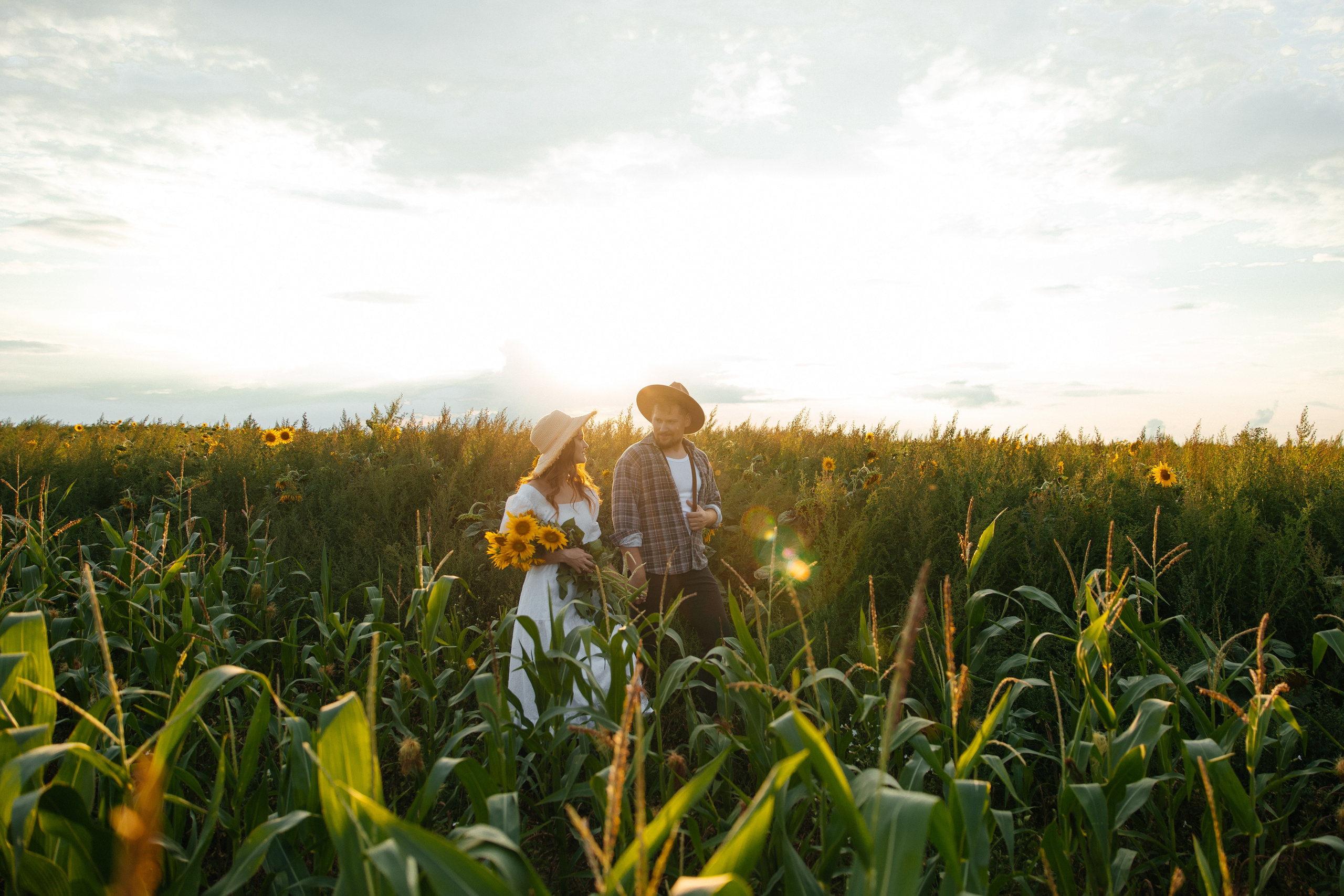 Подсолнухи. Свадебный фотограф Минск РБ