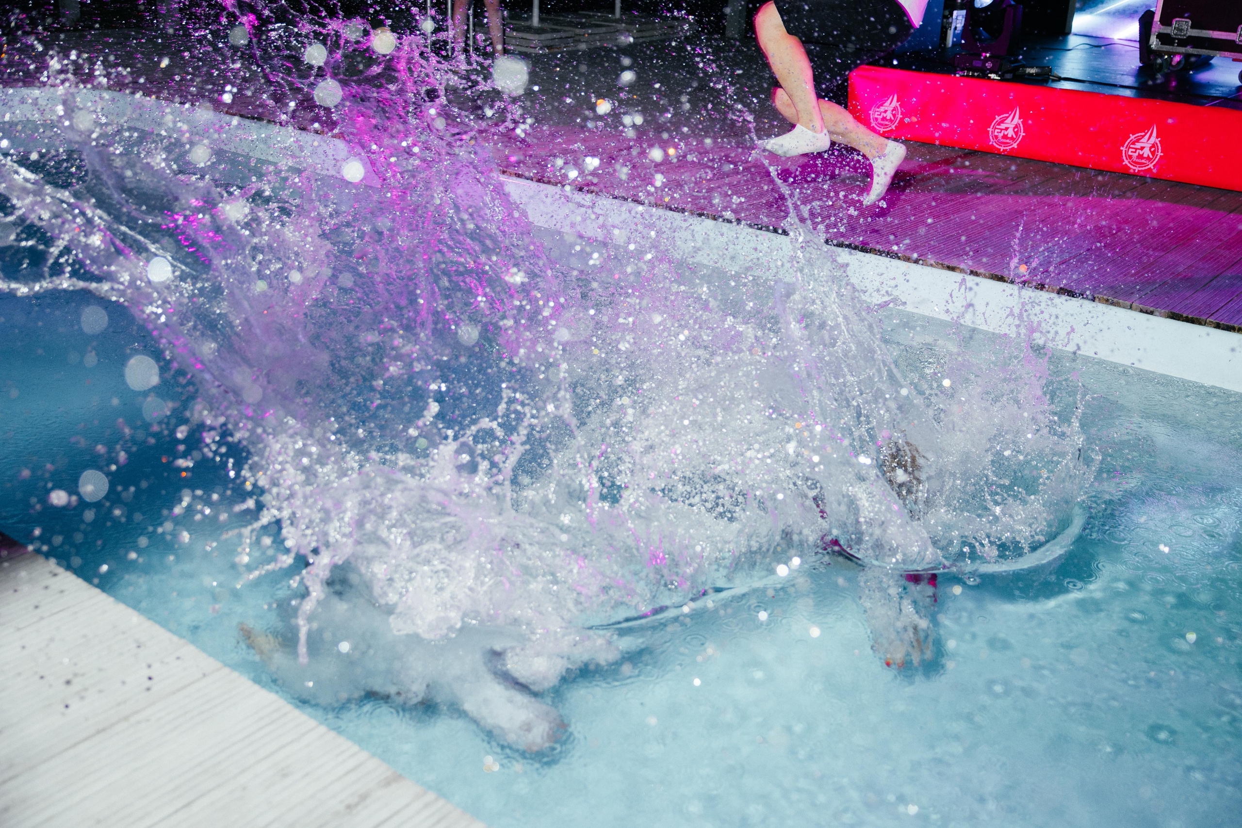 EMK регата. Свадебный фотограф Минск РБ