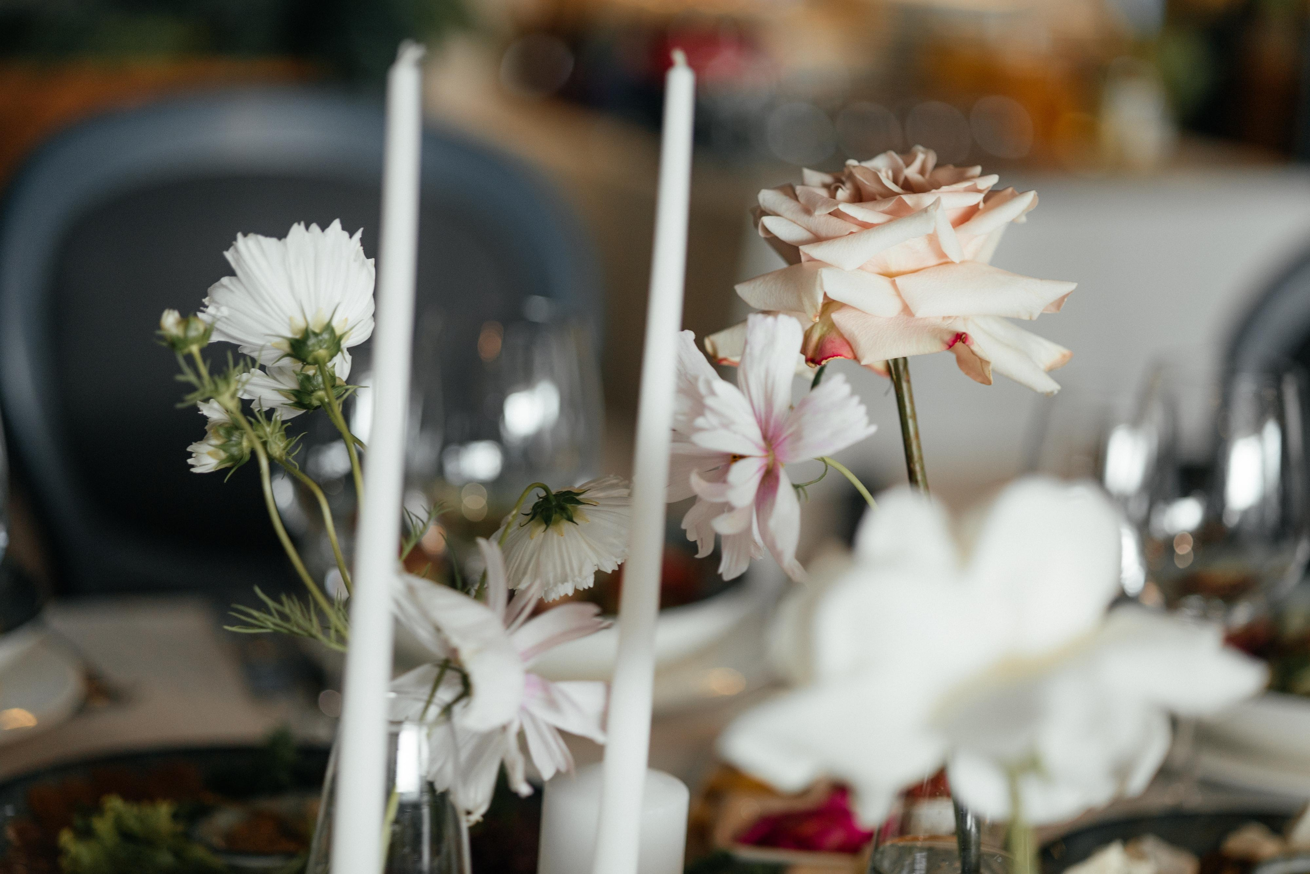 Степан и Катерина. Свадебный фотограф Минск РБ