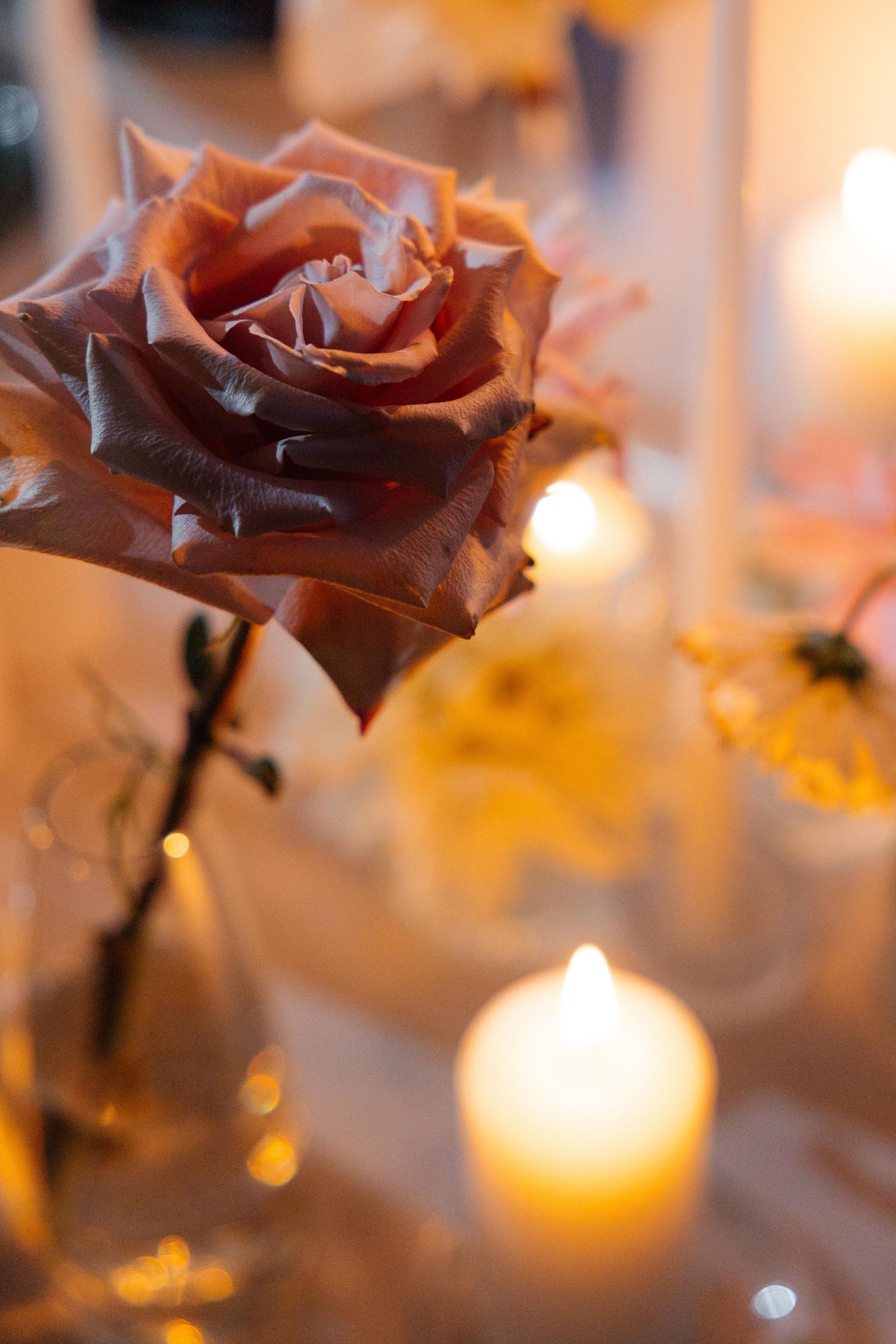 Степан и Катерина. Свадебный фотограф Минск РБ