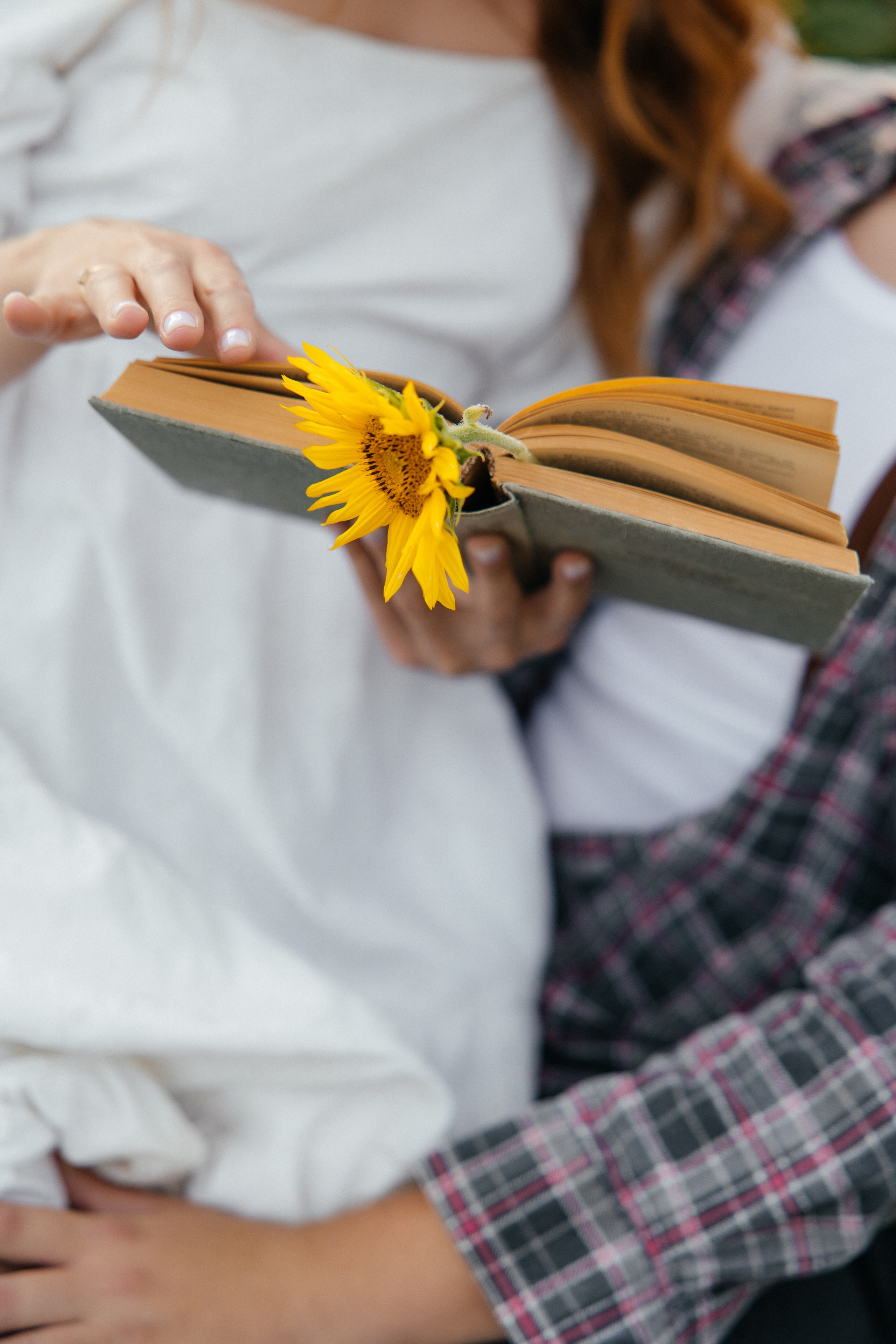 Подсолнухи. Свадебный фотограф Минск РБ