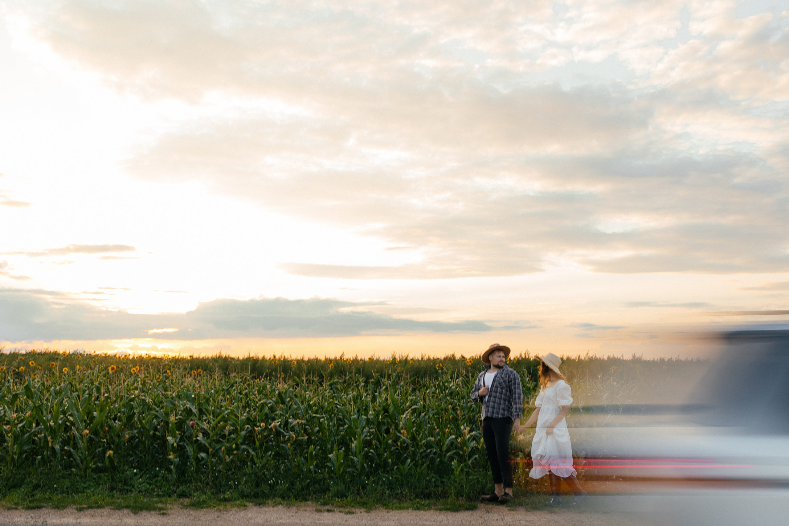 Подсолнухи. Свадебный фотограф Минск РБ