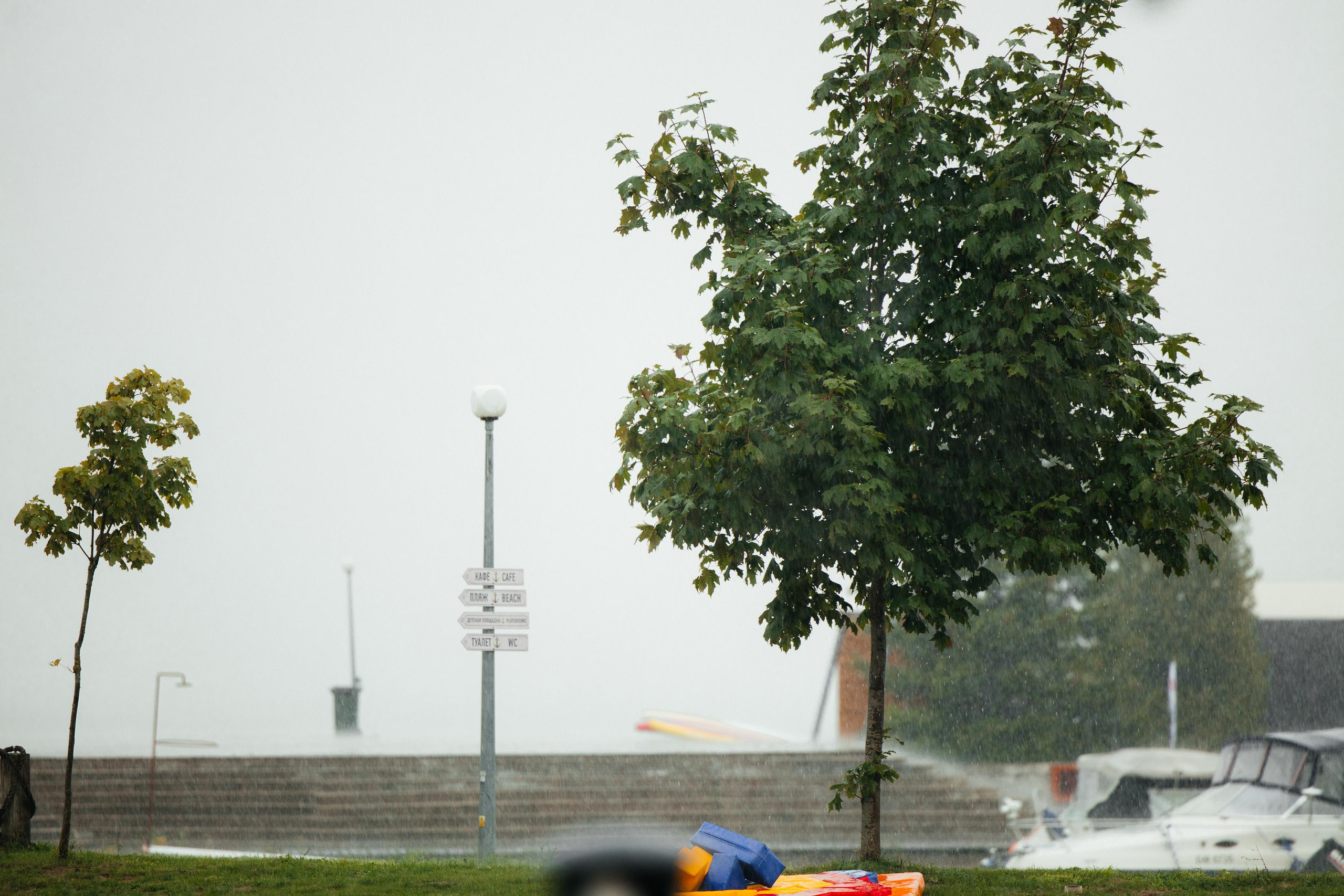 EMK регата. Свадебный фотограф Минск РБ