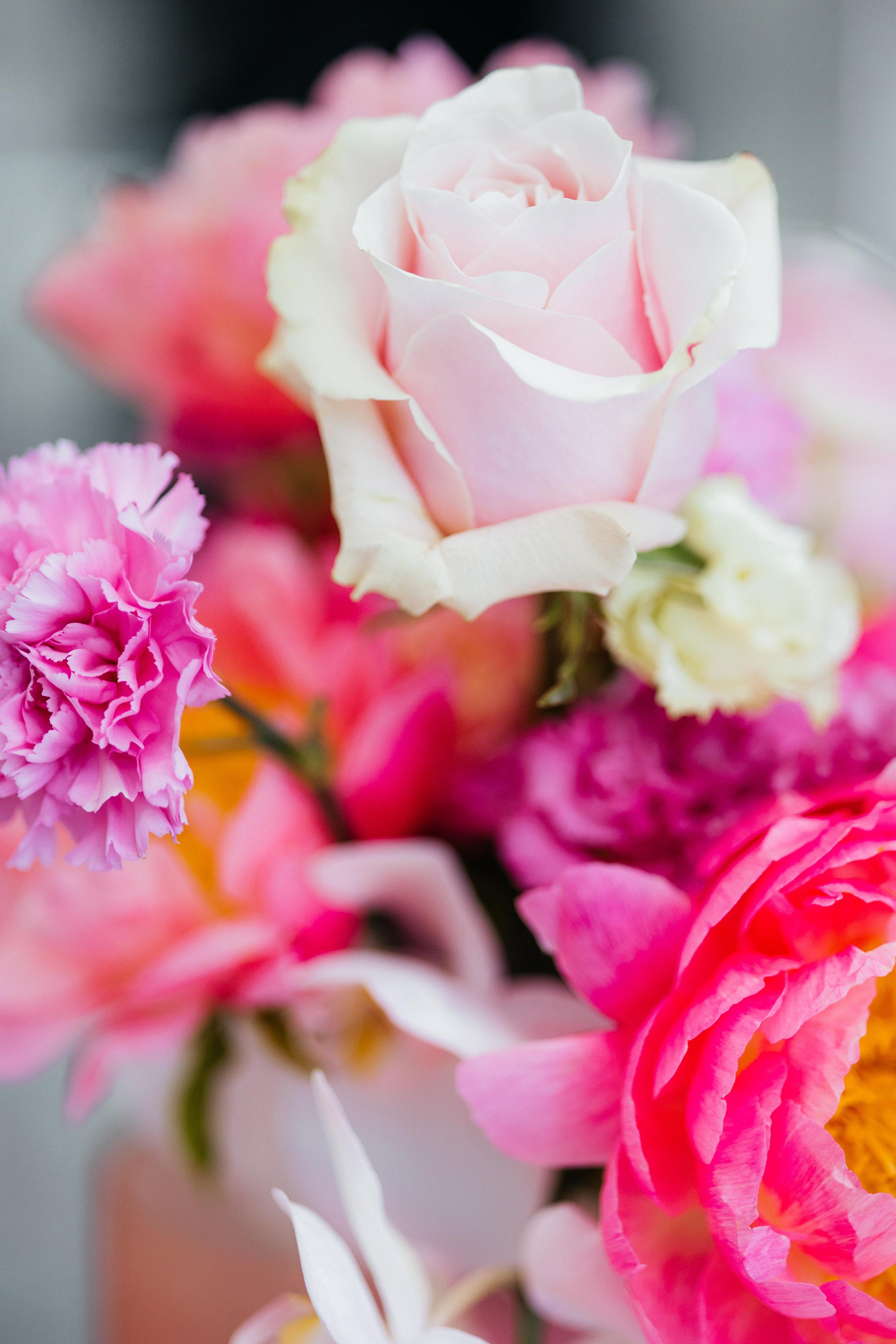 Валерия и Влад. Свадебный фотограф Минск РБ