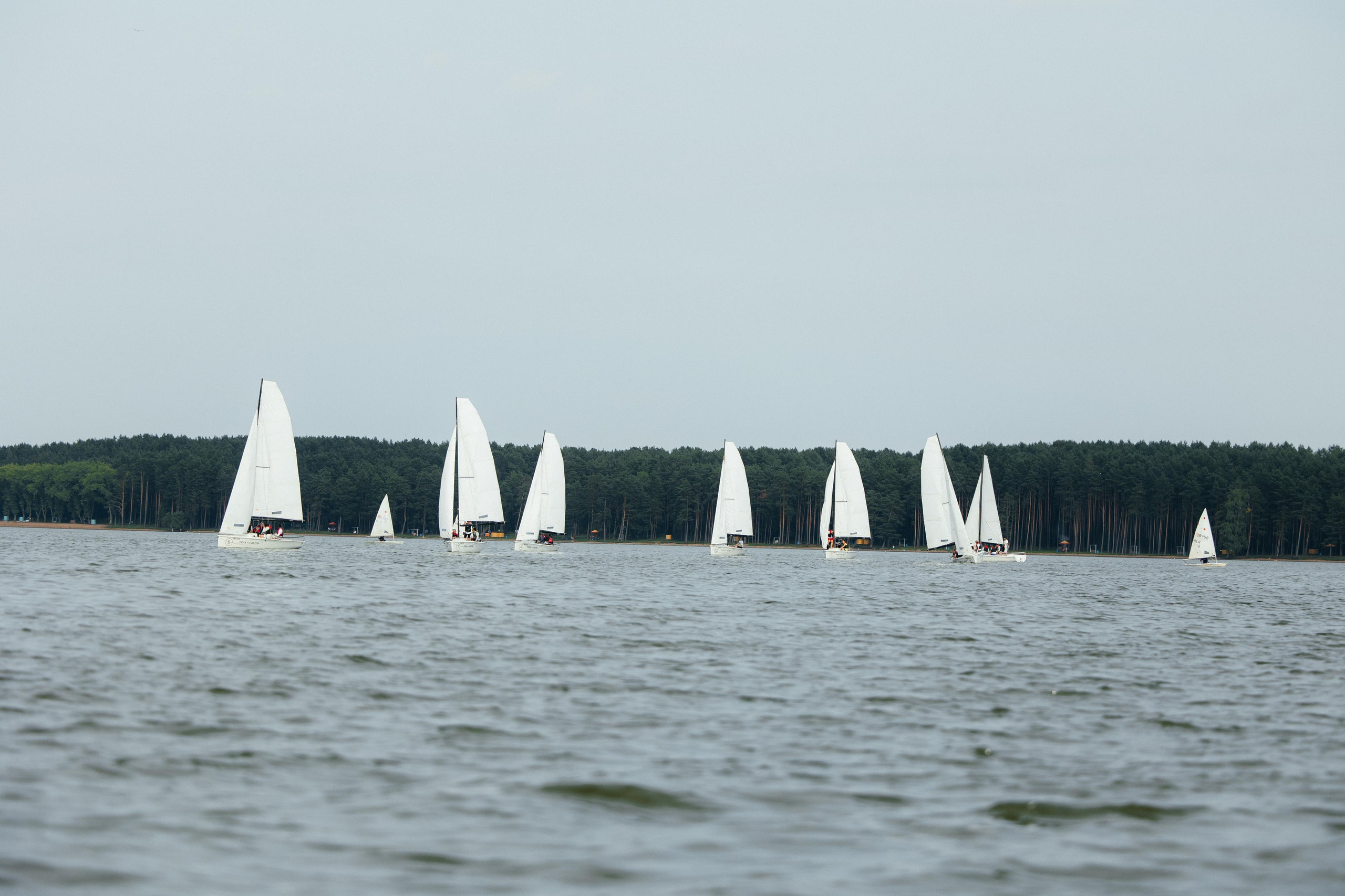 EMK регата. Свадебный фотограф Минск РБ
