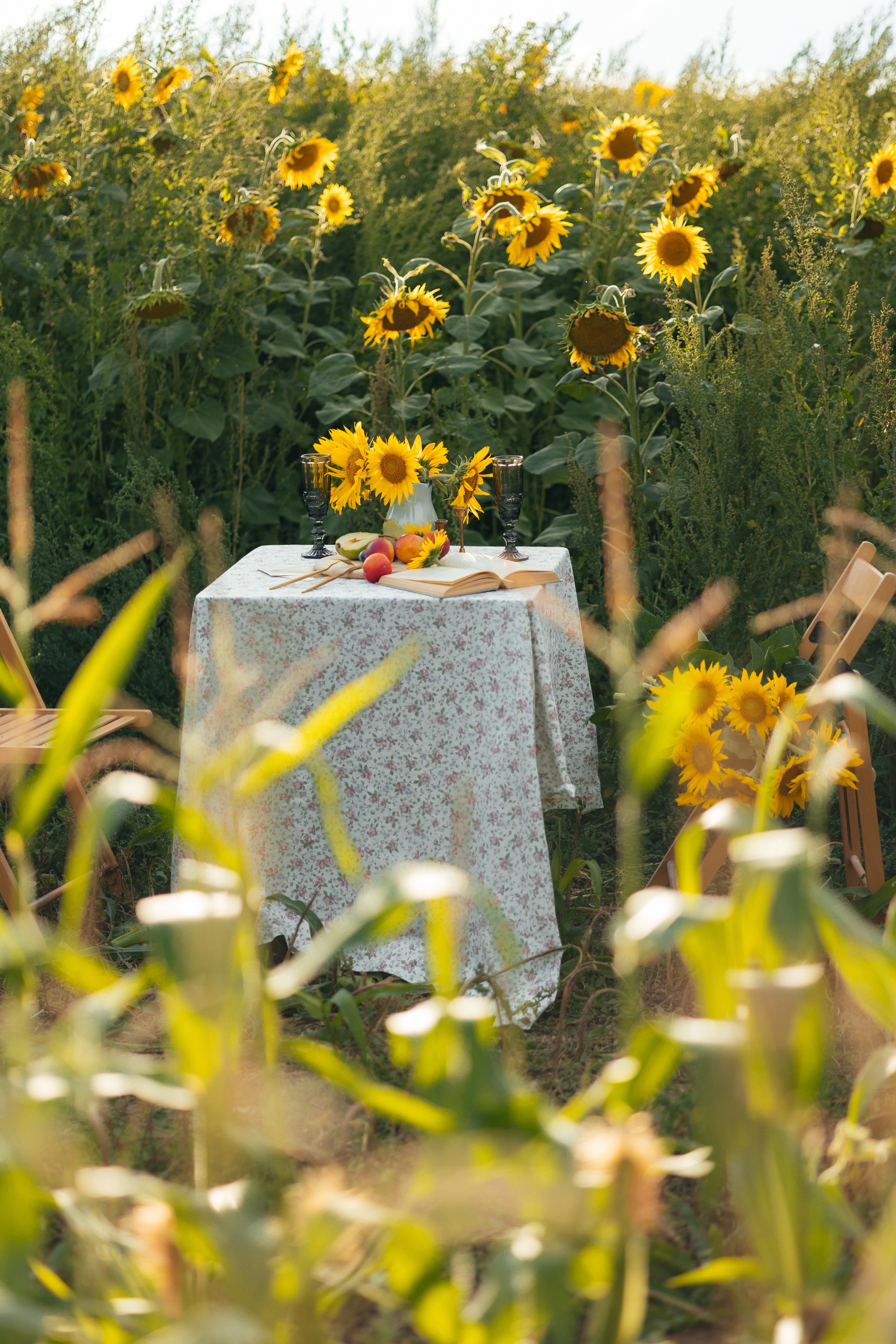 Подсолнухи. Свадебный фотограф Минск РБ