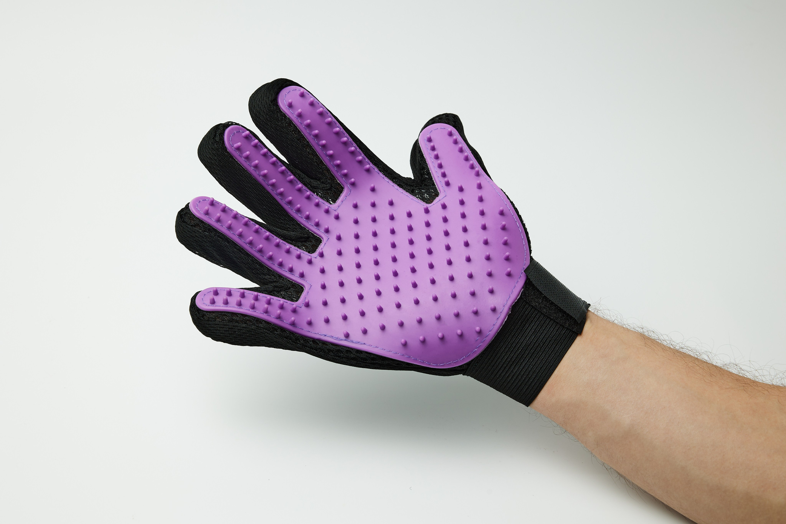 Игрушки для собак. Разножанровый Фотограф в Омске Артём Руднев