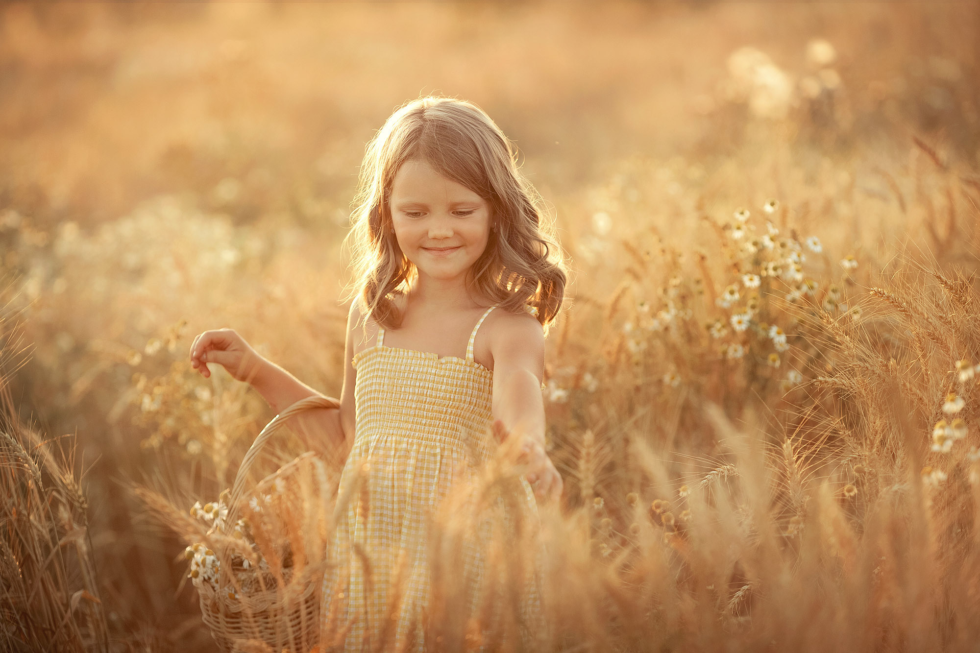 Нежная летняя история в поле. Семейный фотограф Татьяна Надеждина | Москва, Московская область, Ярославль