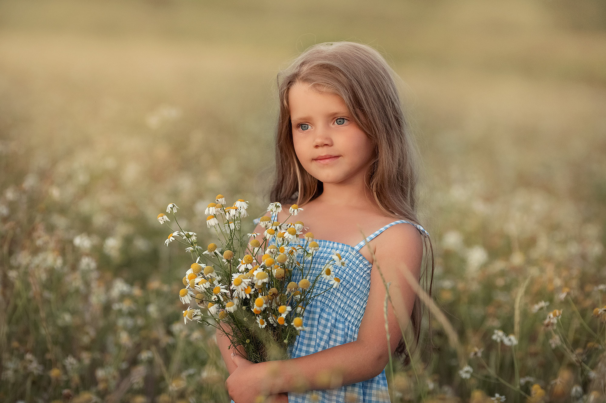 Нежная летняя история в поле. Семейный фотограф Татьяна Надеждина | Москва, Московская область, Ярославль