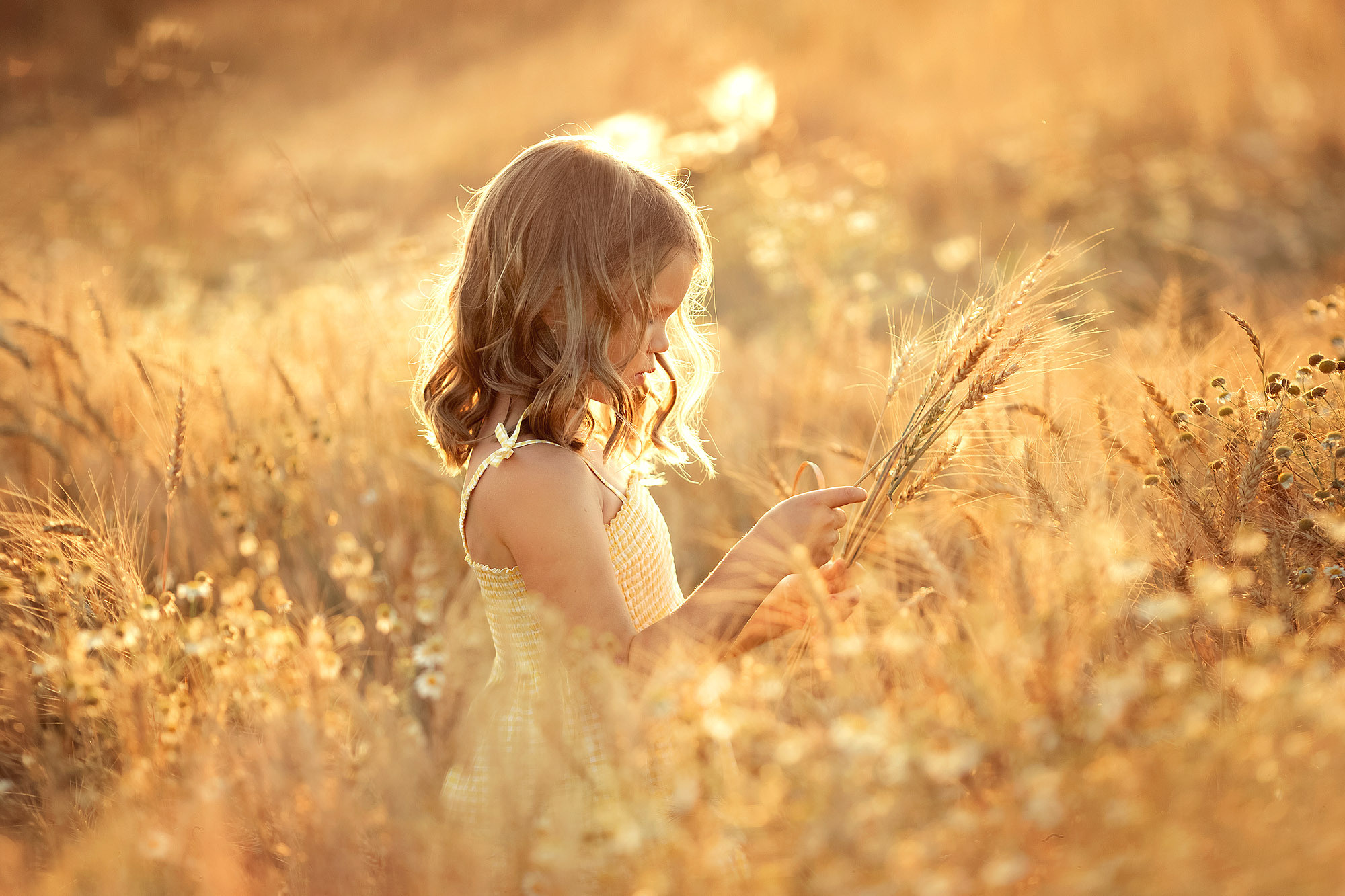 Нежная летняя история в поле. Семейный фотограф Татьяна Надеждина | Москва, Московская область, Ярославль