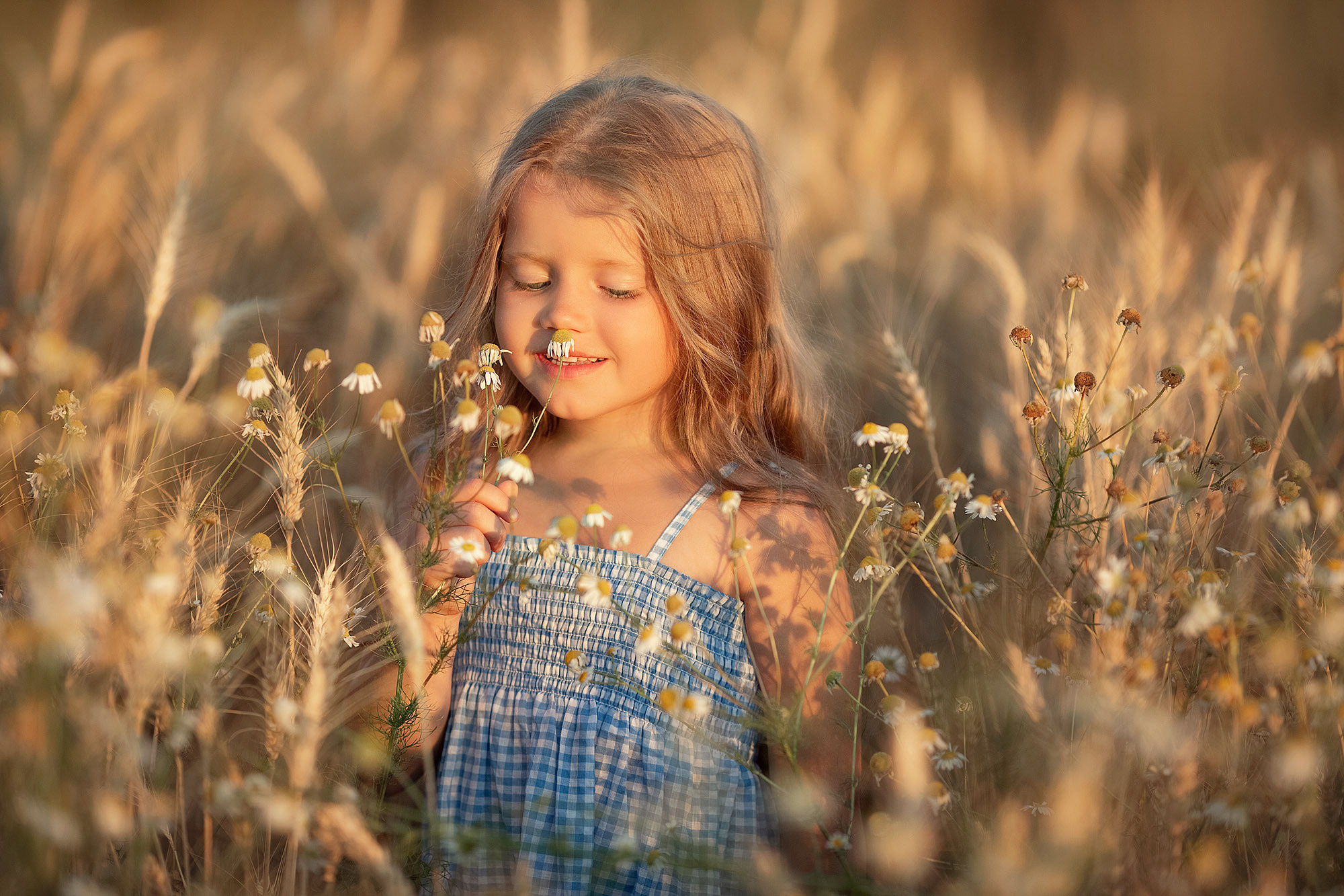 Нежная летняя история в поле. Семейный фотограф Татьяна Надеждина | Москва, Московская область, Ярославль